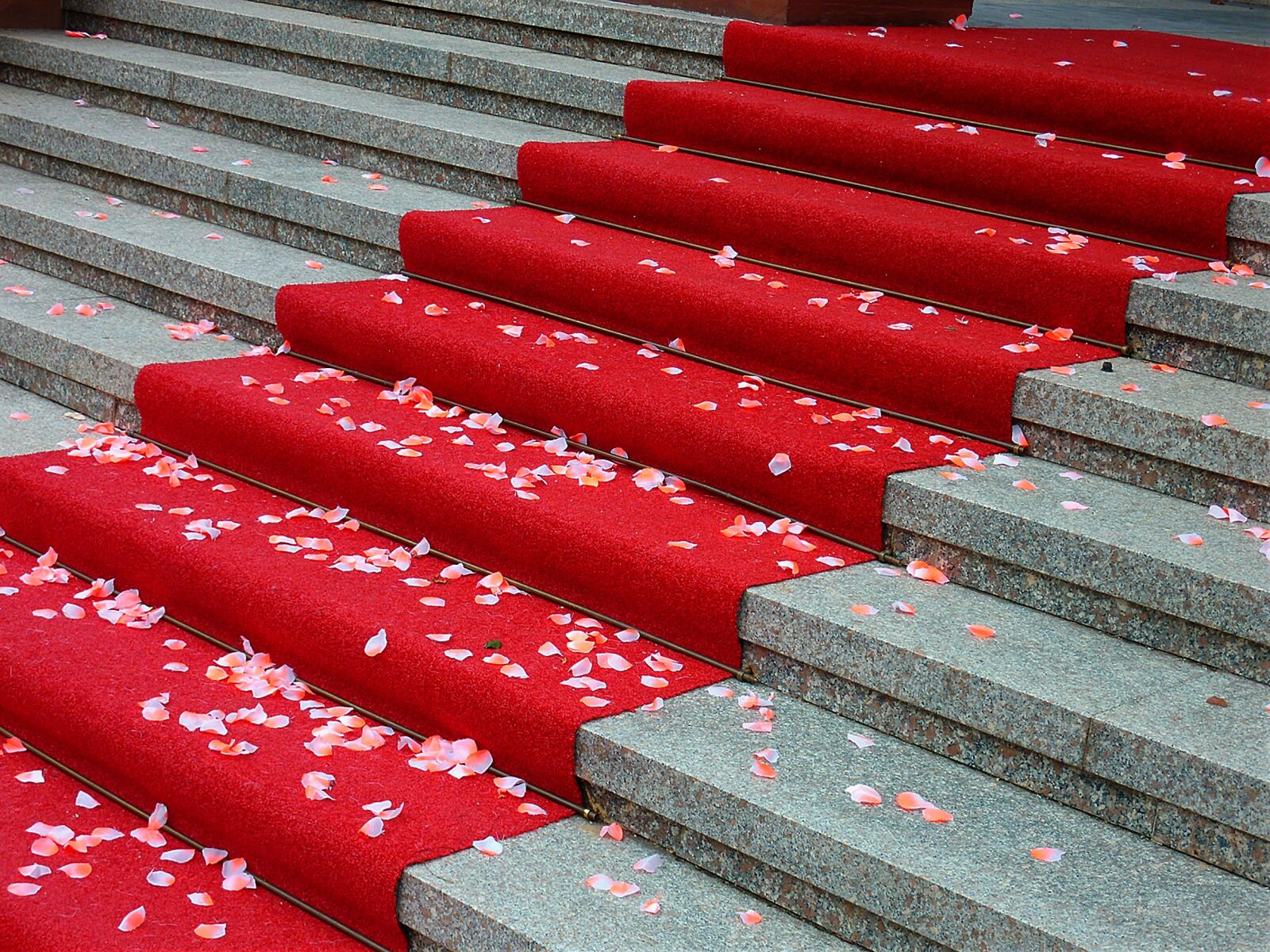 Panasonic DMC-TZ7 sample photo. Red carpet, ambience, floor photography