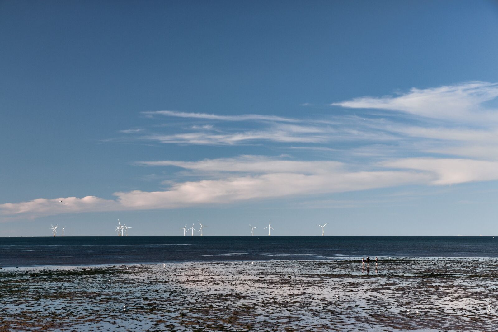 Canon EF-S 18-135mm F3.5-5.6 IS STM sample photo. Sea, ocean, wind farm photography
