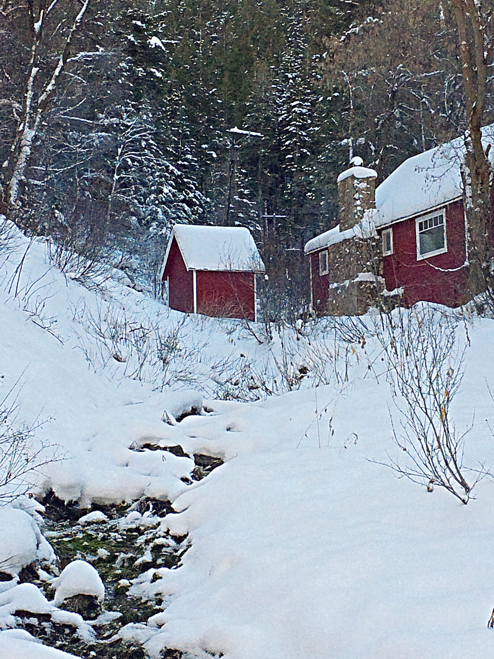 iPhone 5s back camera 4.12mm f/2.2 sample photo. Cabin, snow, winter, winter photography