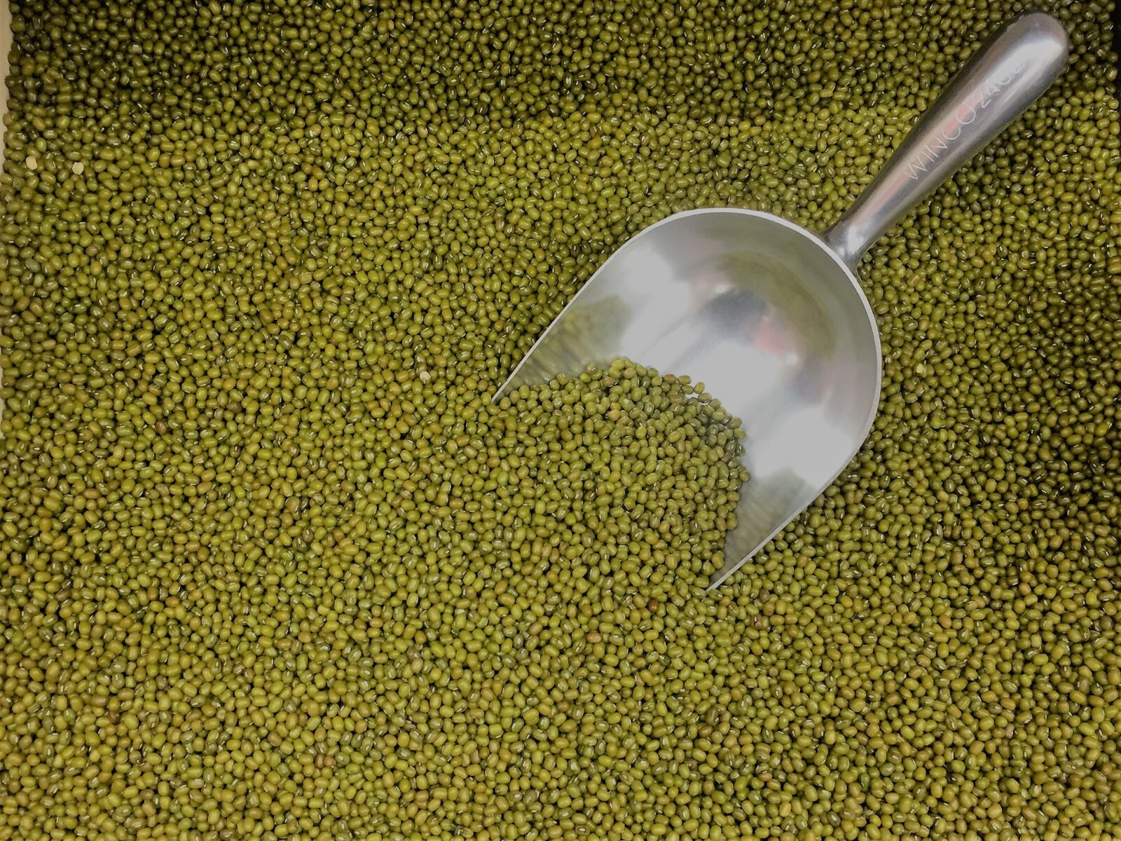 Apple iPhone 6 sample photo. Moong beans, green, dry photography