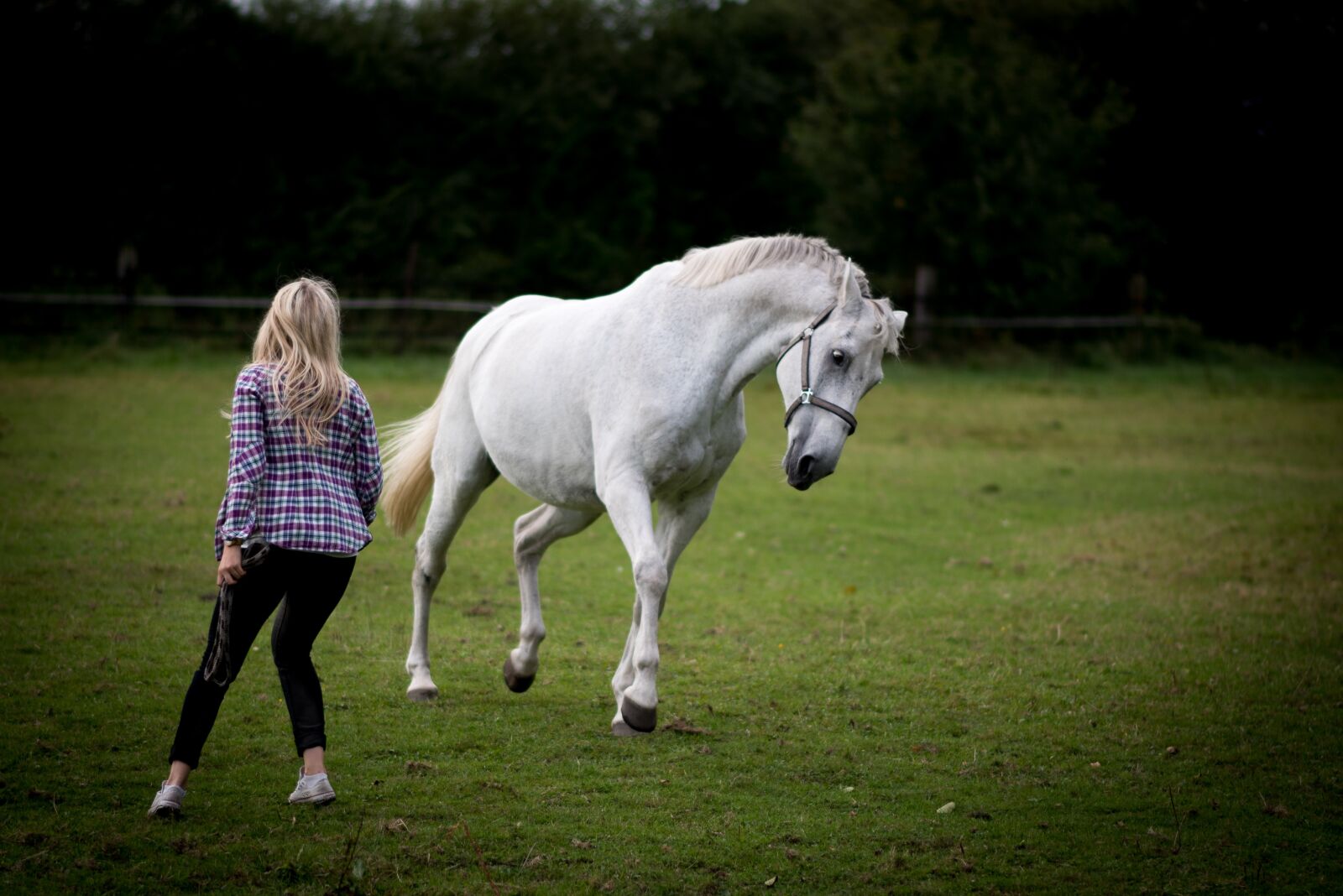 Nikon D750 sample photo. Zic, zac, zoe photography