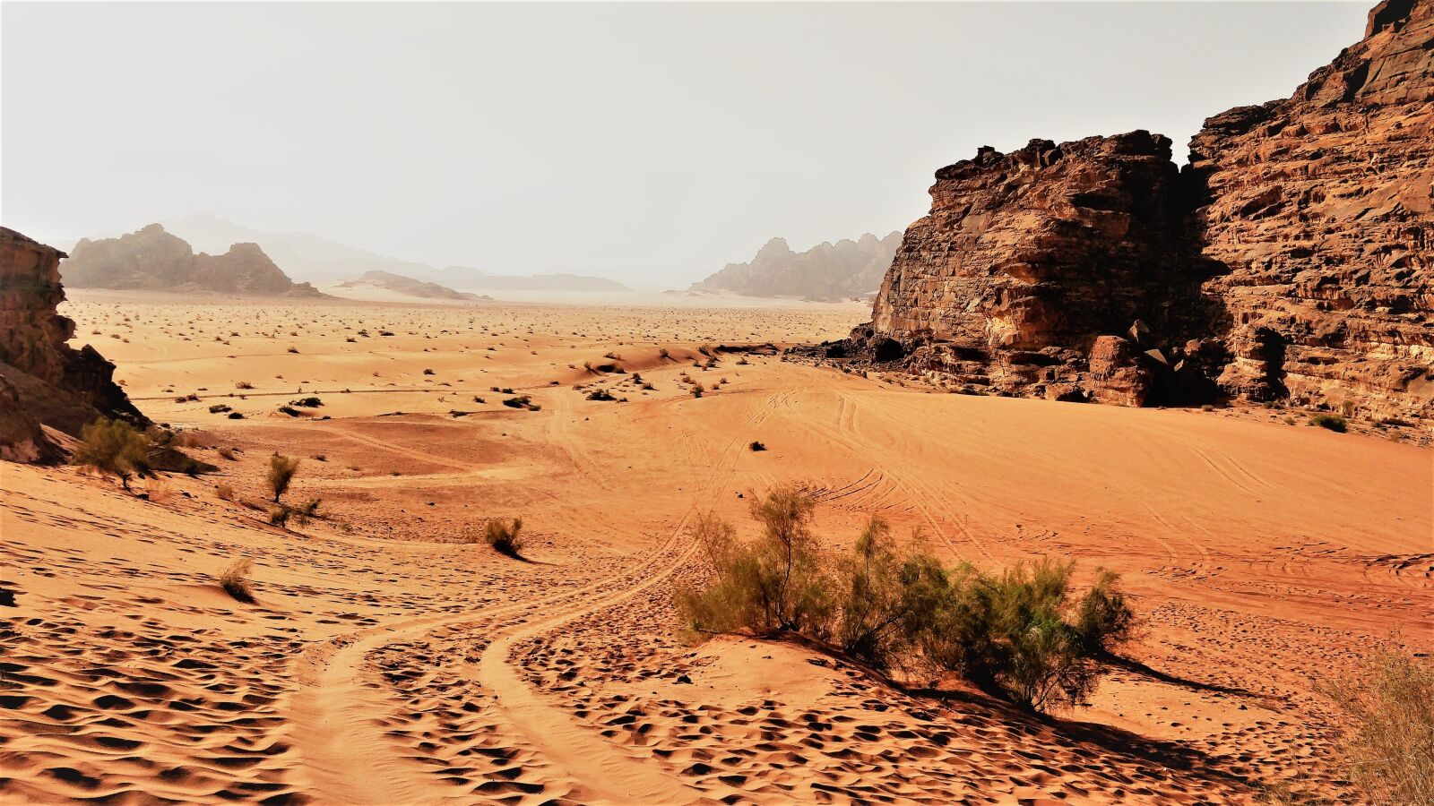 OnePlus 5 sample photo. Wadirum, petra, amman photography