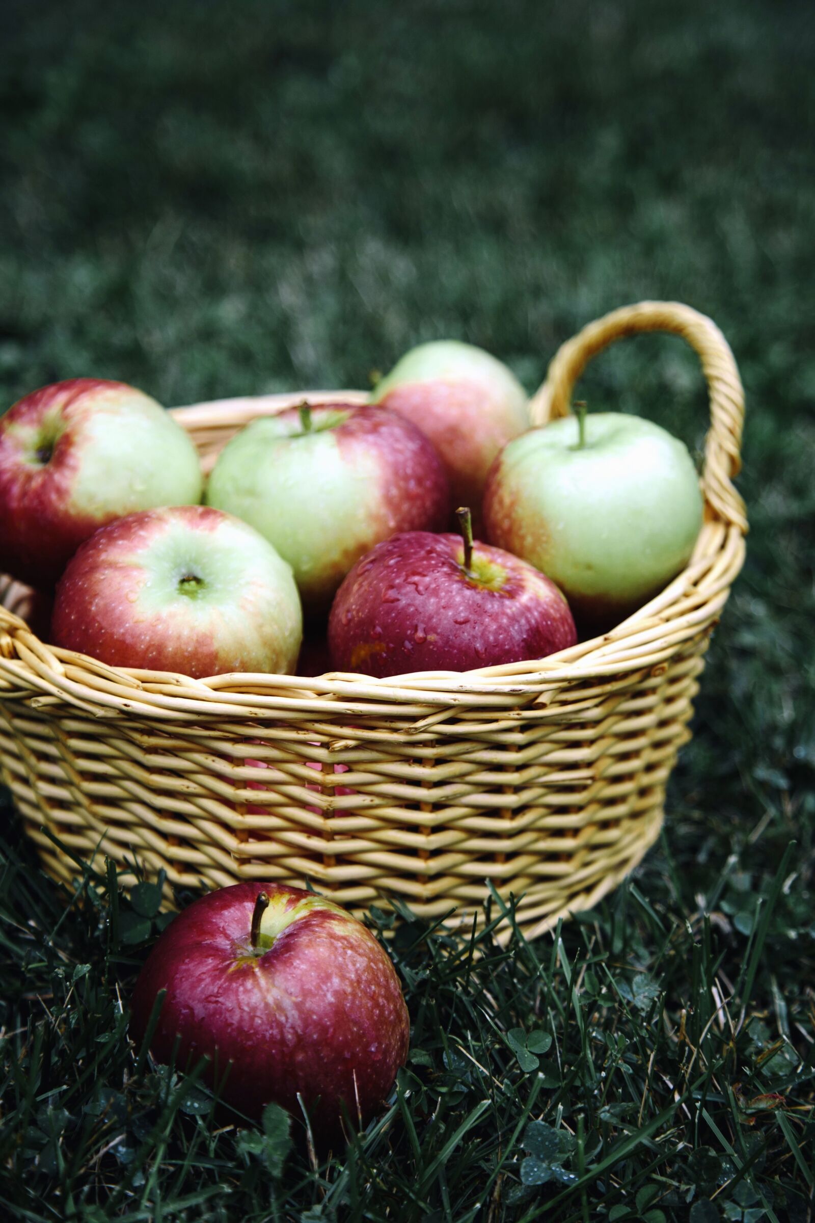 Canon EOS 6D + Canon EF 24-105mm F4L IS USM sample photo. Basket, apples, herbs, fruit photography