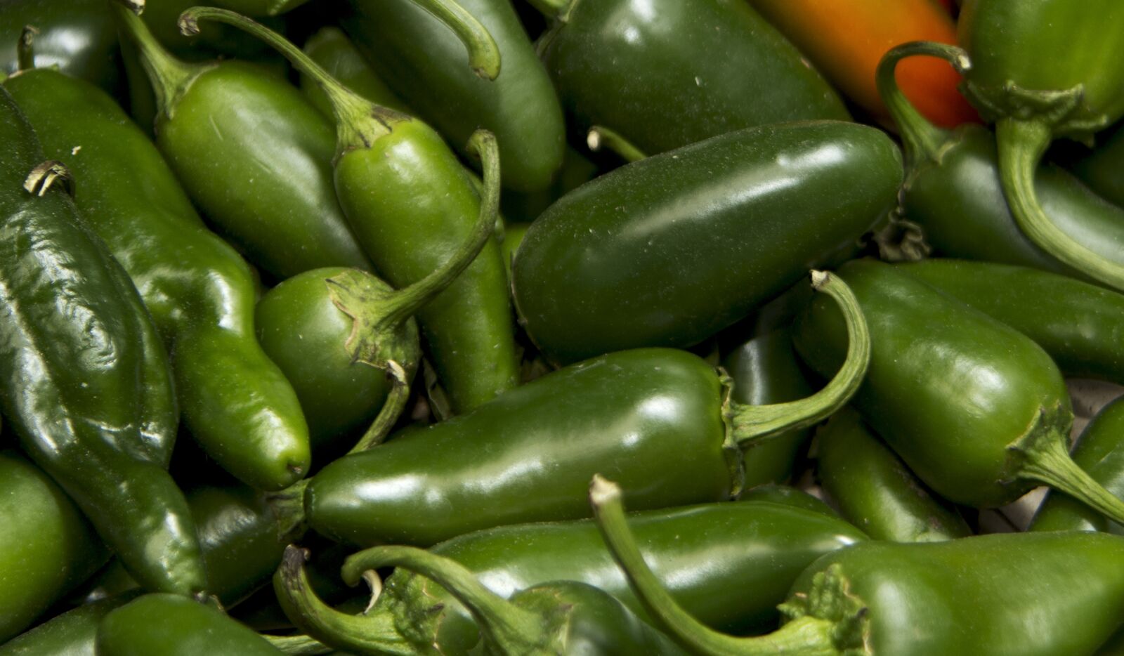 Canon EOS 600D (Rebel EOS T3i / EOS Kiss X5) sample photo. Pepper, spicy, green photography