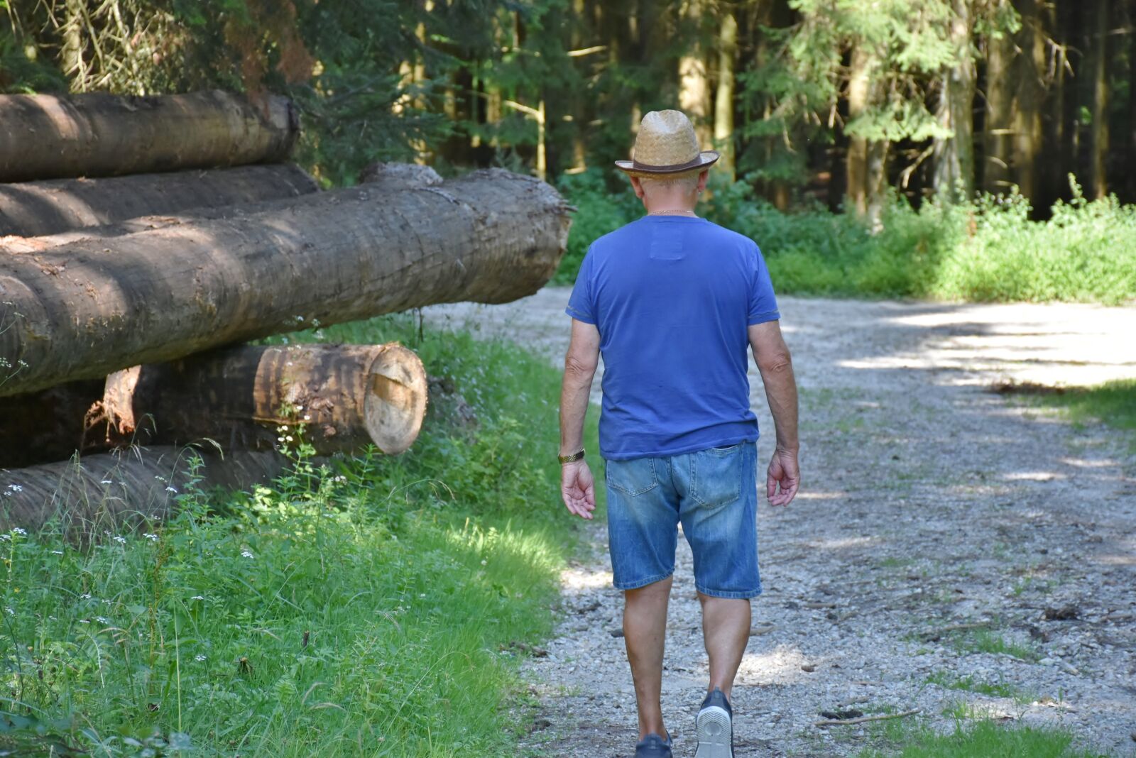 Nikon D7200 sample photo. Man, walk, forest photography