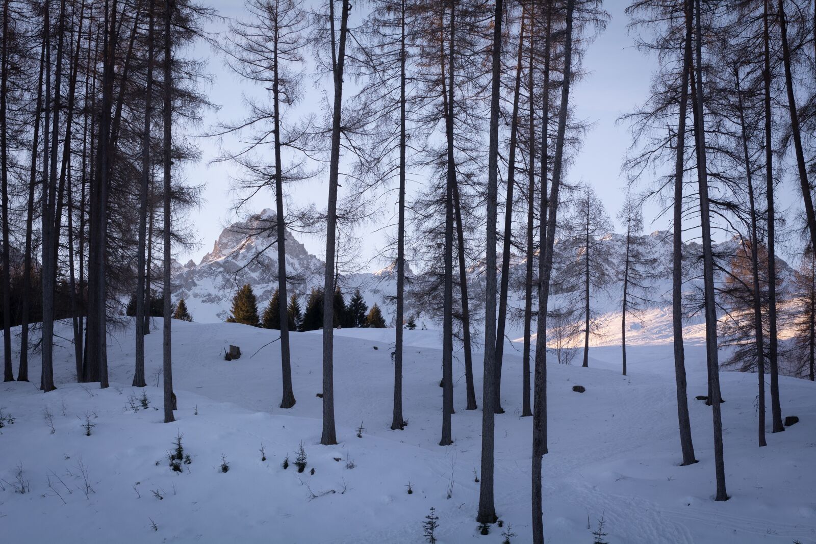 Nikon D7100 sample photo. Landscape, winter, snow photography