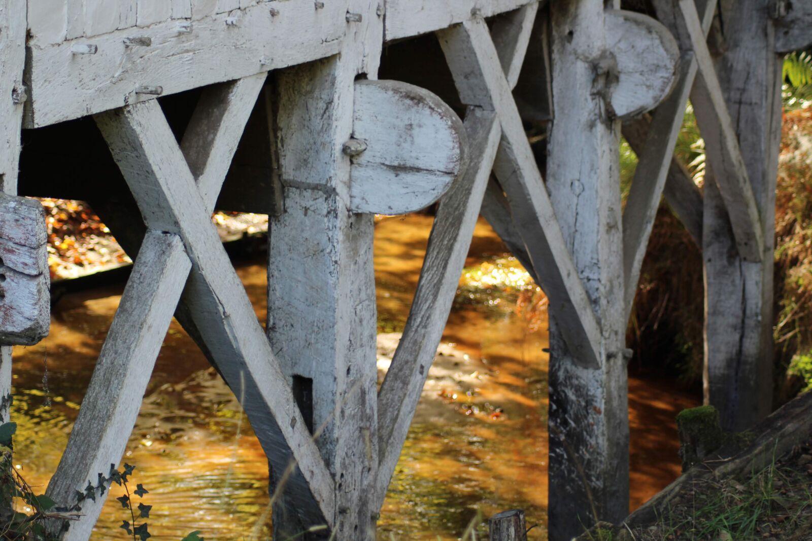 Canon EOS 1200D (EOS Rebel T5 / EOS Kiss X70 / EOS Hi) sample photo. Bridge, wood, path photography
