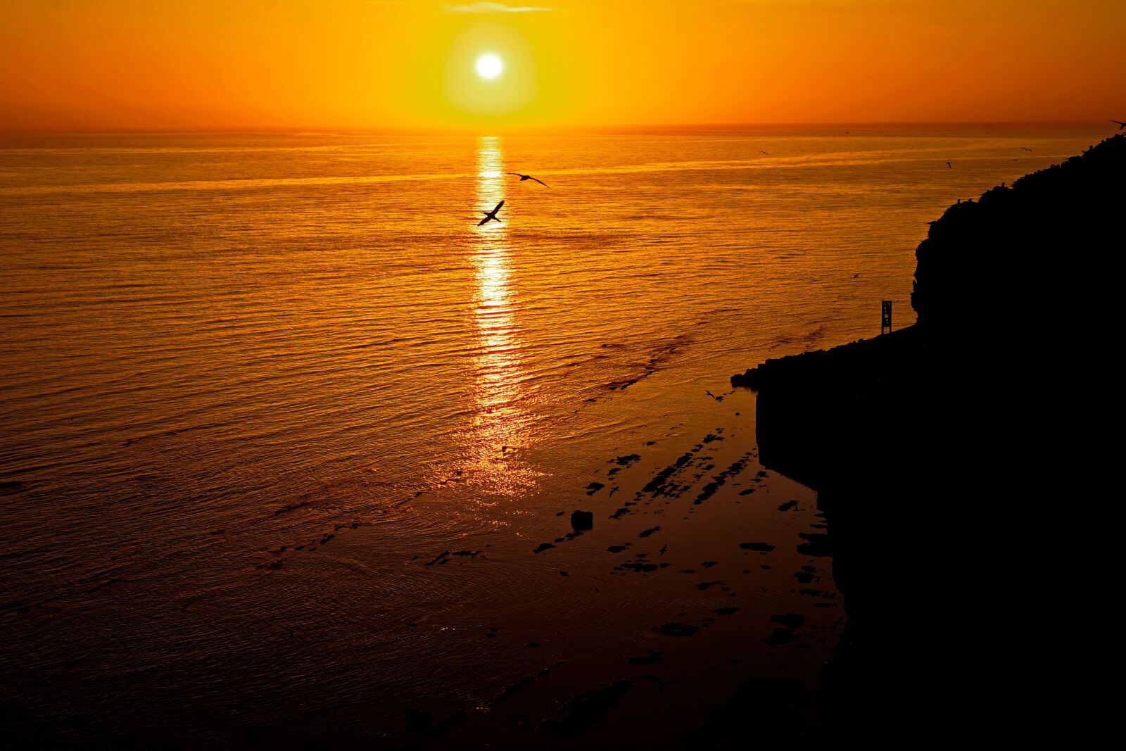 Sony a7 II + Sony FE 24-240mm F3.5-6.3 OSS sample photo. Sunset, germany, sea island photography