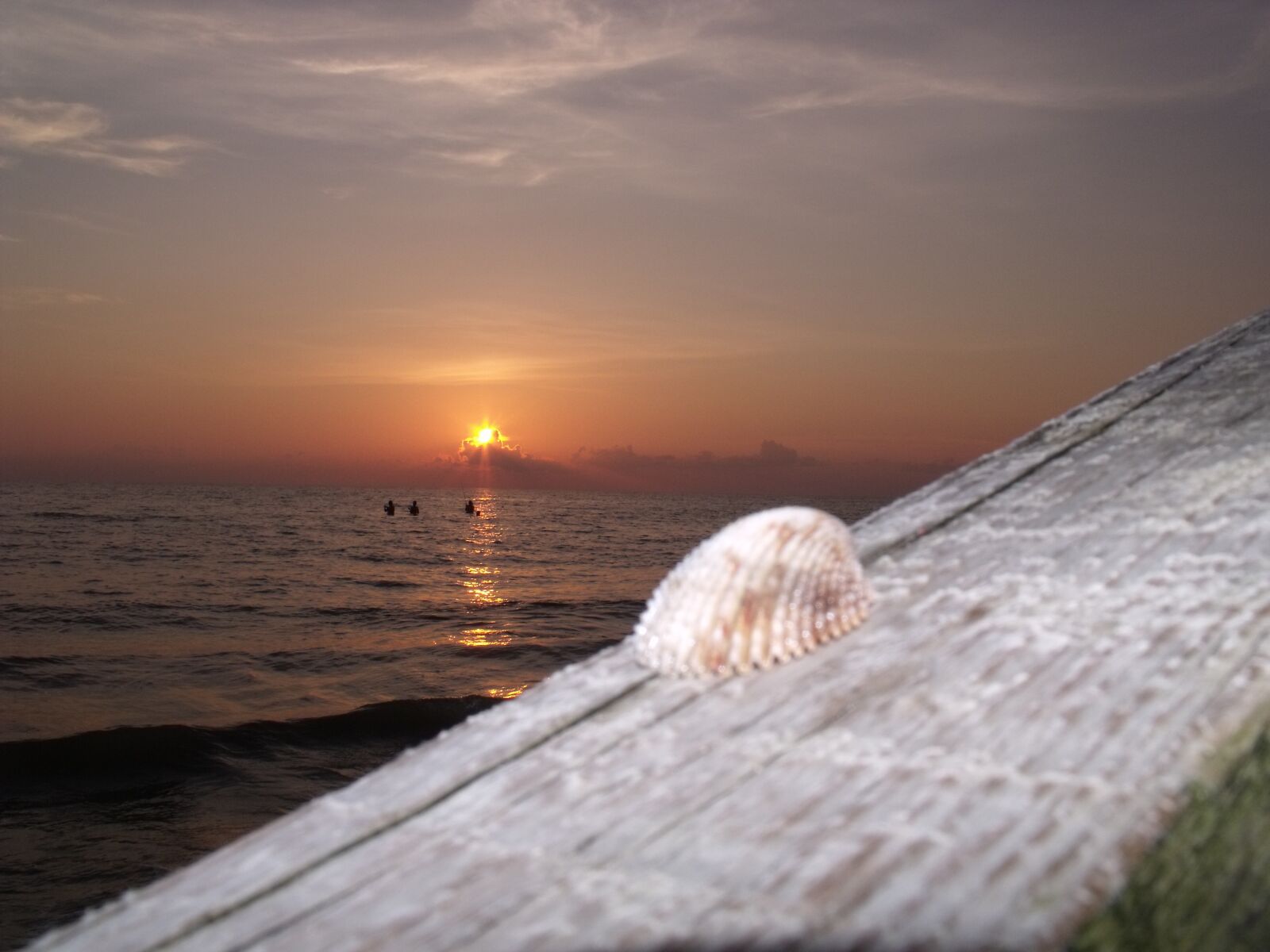 Fujifilm FinePix S1500 sample photo. Beach, sunset, shell photography