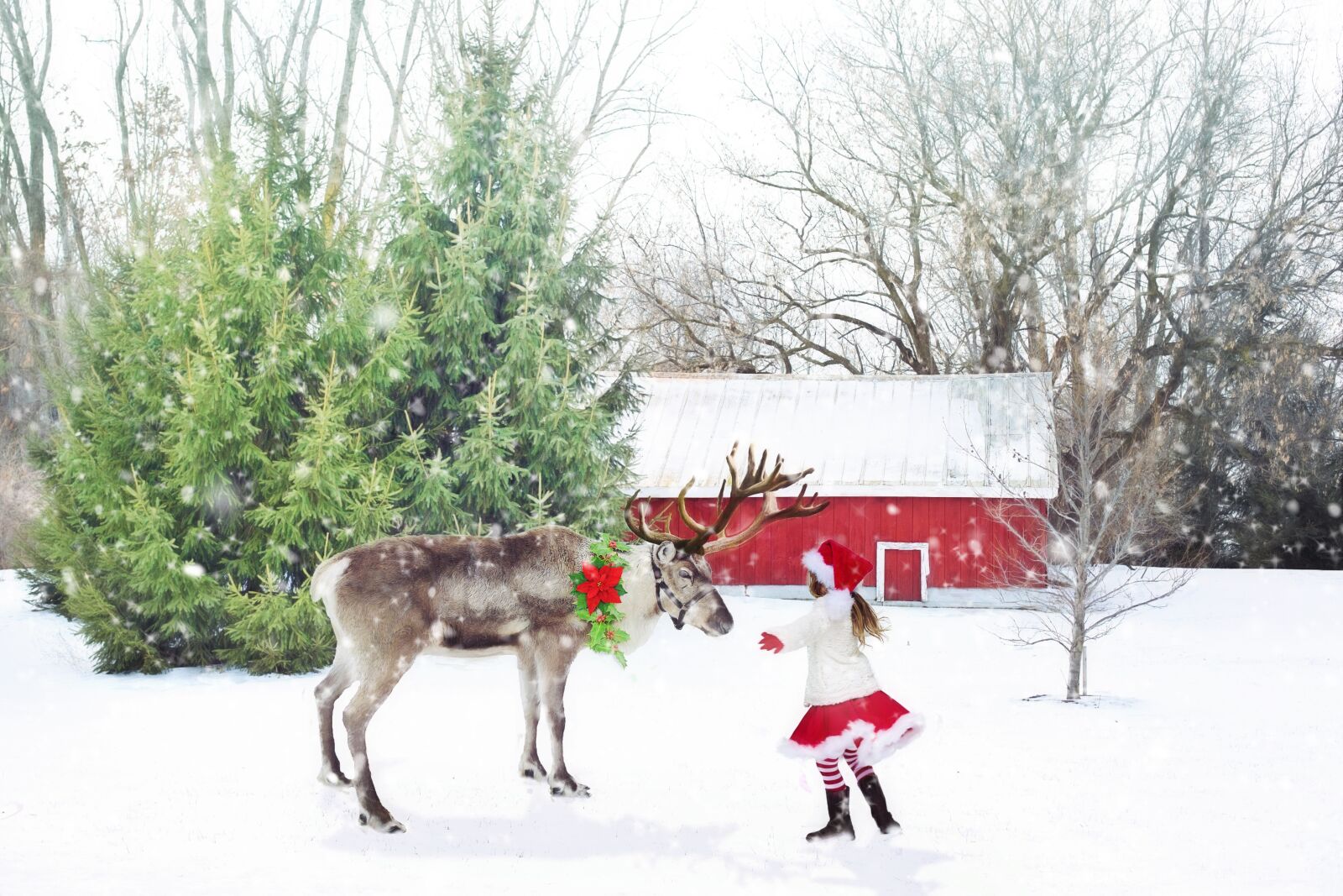 Canon EF 50mm F1.4 USM sample photo. Christmas scene, reindeer, little photography