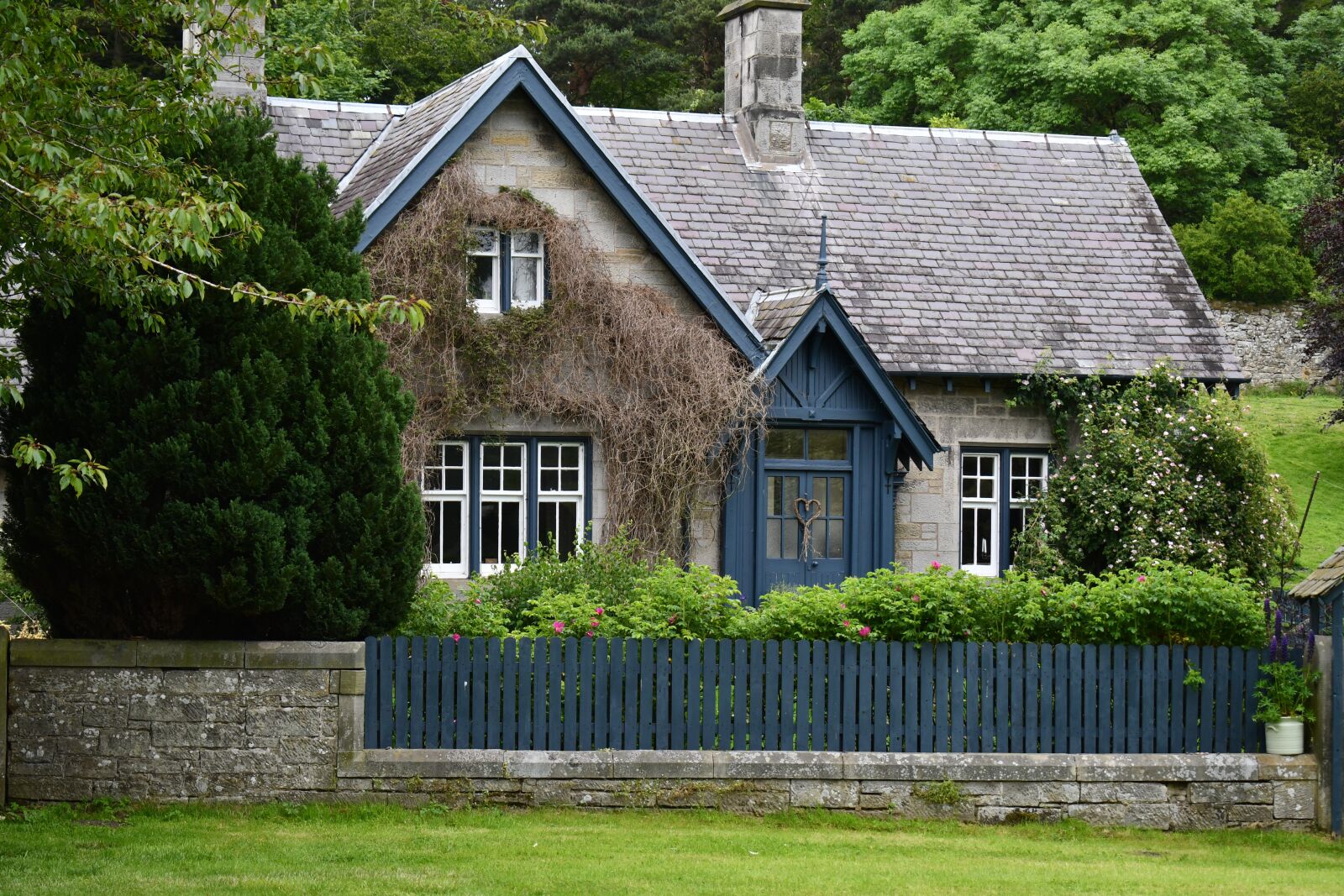 Nikon D7500 sample photo. Cottage, mid hope castle photography
