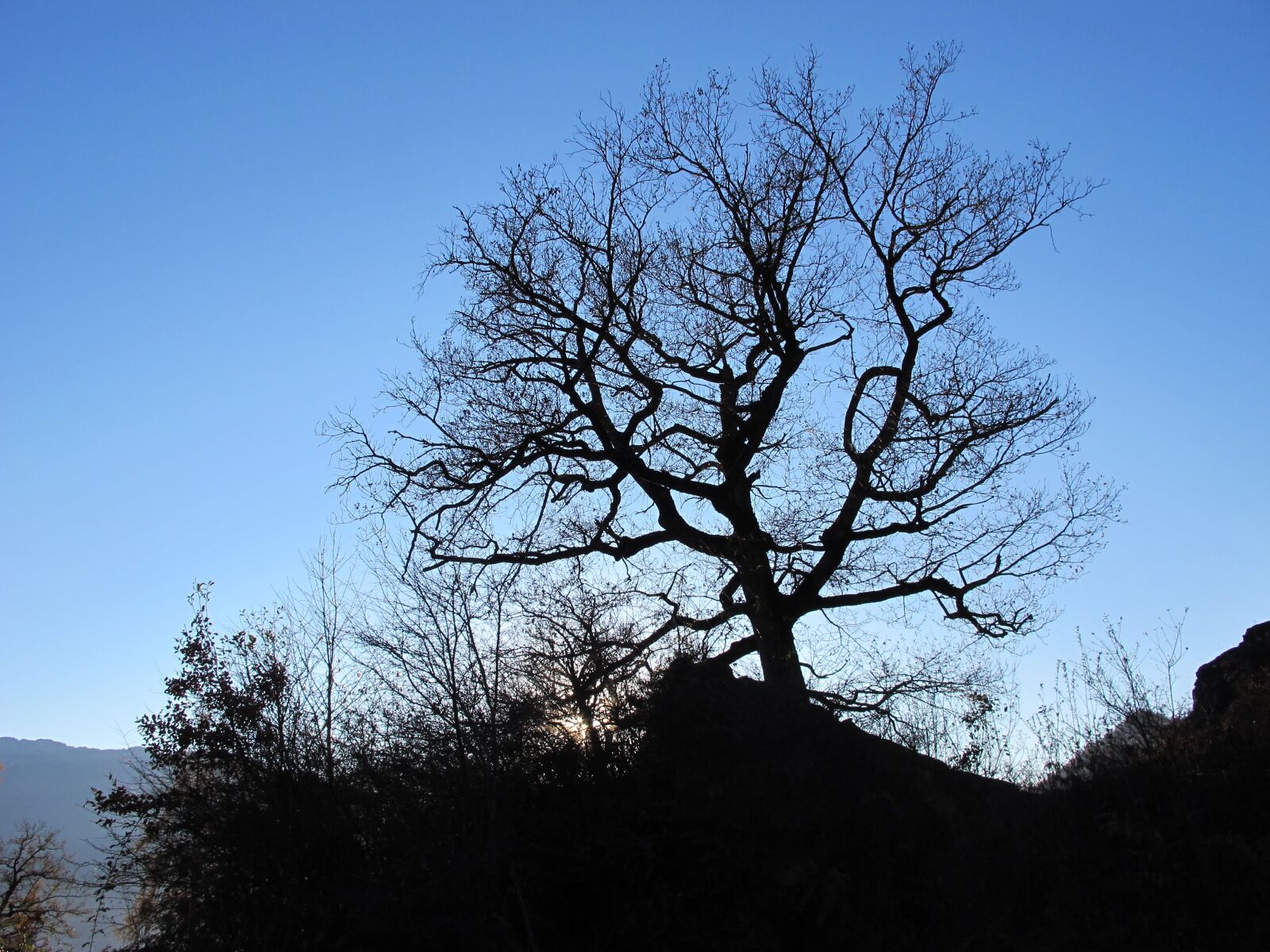 Canon PowerShot G12 sample photo. Contrast, backlighting, landscape photography