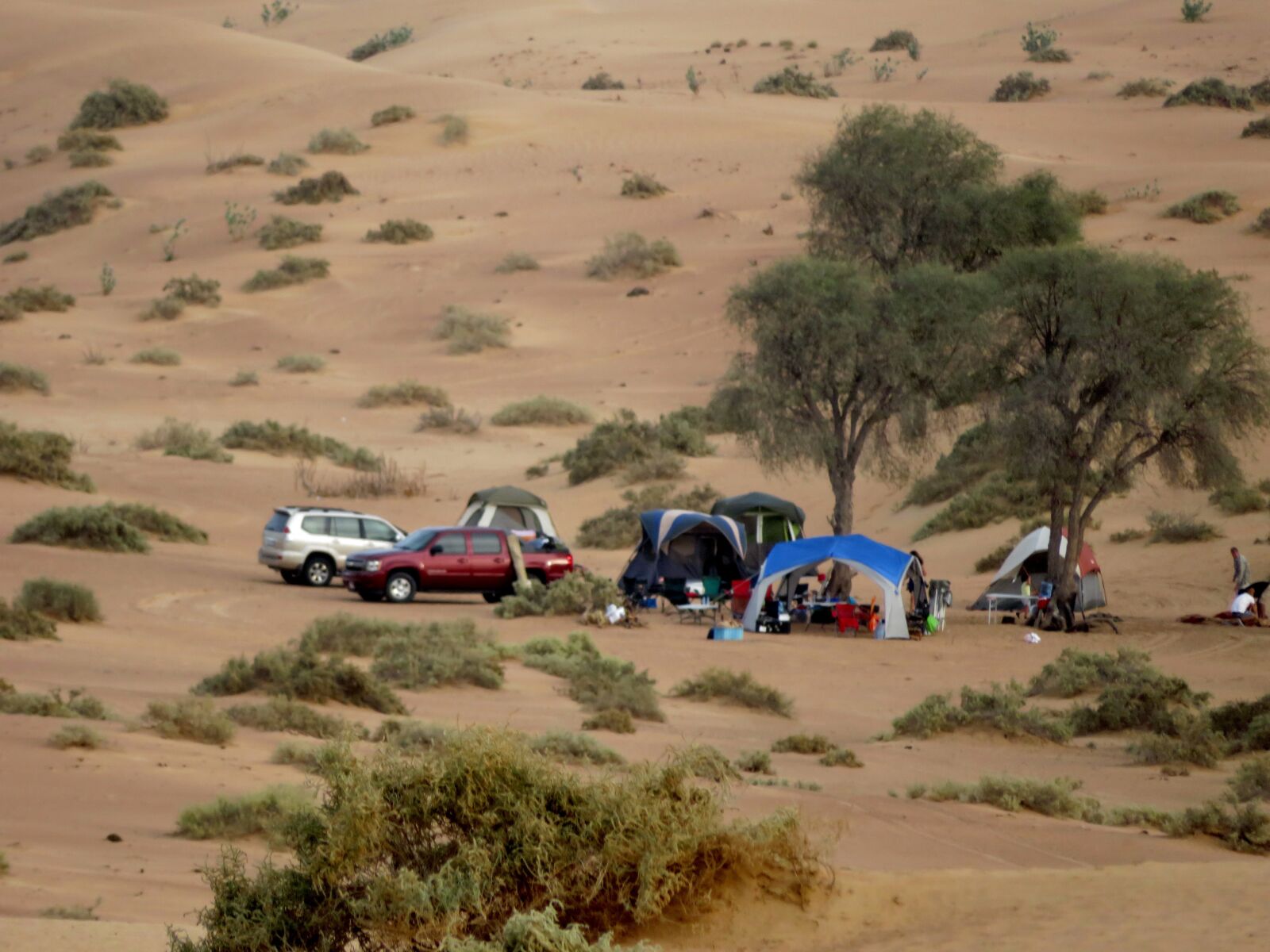 Canon PowerShot SX720 HS sample photo. Camping, desert, arabia photography