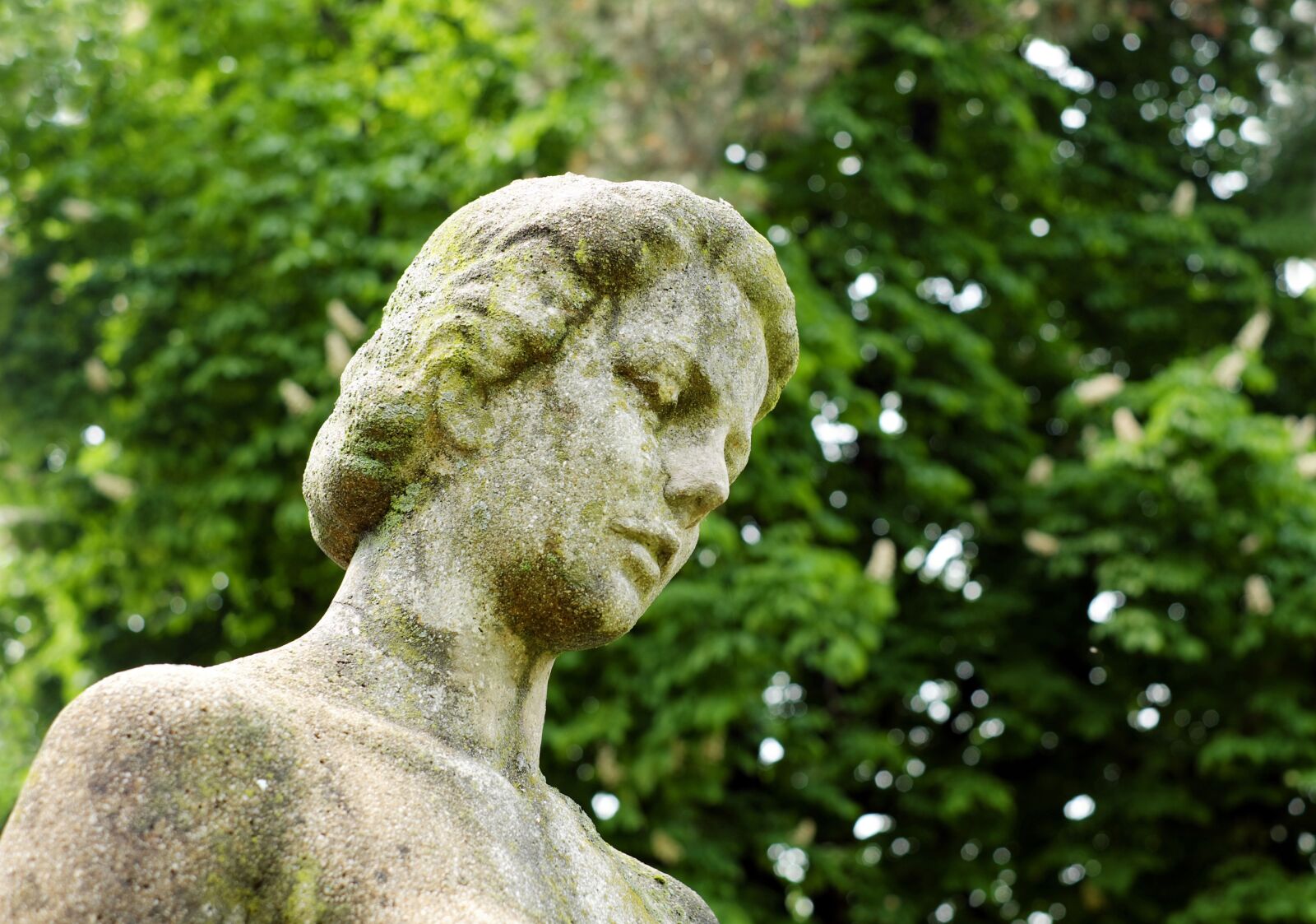 Fujifilm X-T10 + Fujifilm XF 35mm F1.4 R sample photo. Sculpture, stone, statue photography
