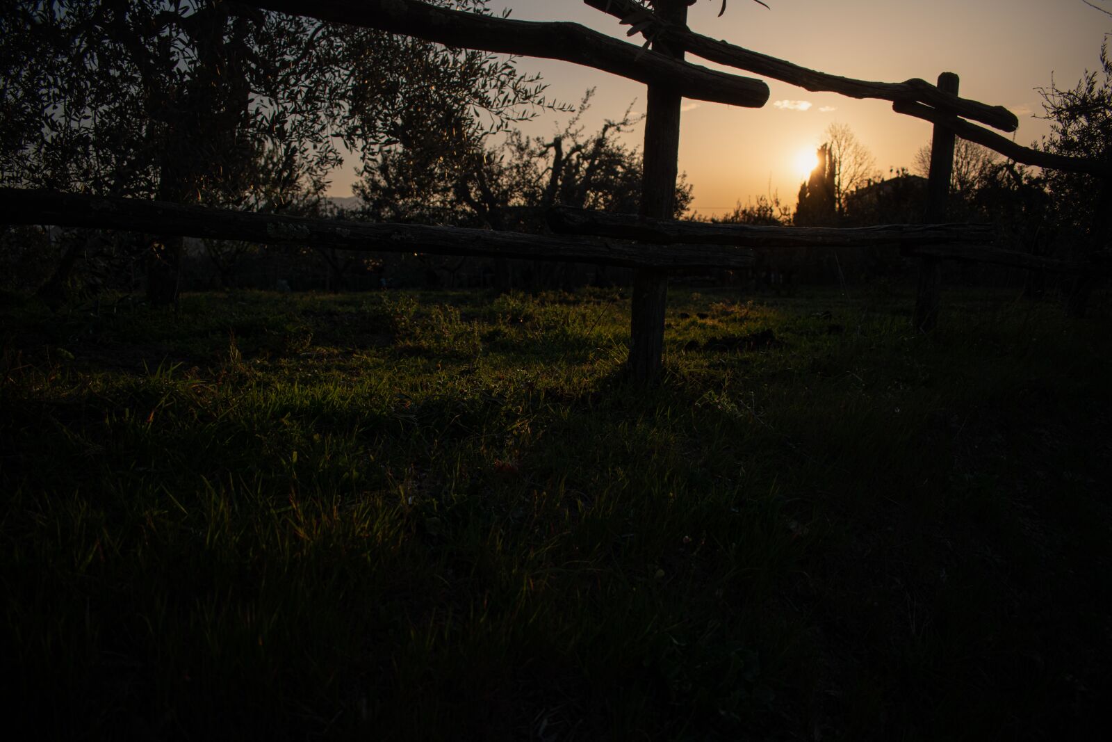Nikon D5600 sample photo. Tuscany, hills, panorama photography