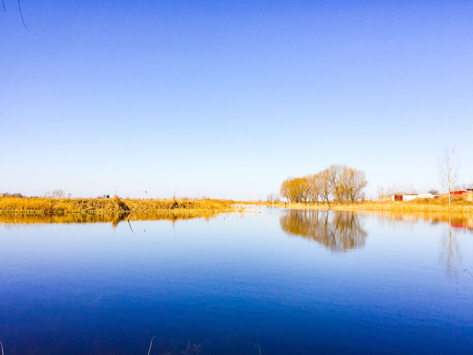 iPhone 6 back camera 4.15mm f/2.2 sample photo. Blue sky, river, tree photography