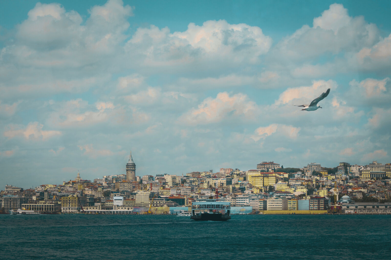 Canon EOS 700D (EOS Rebel T5i / EOS Kiss X7i) sample photo. Adobe, photoshop, bird, blue photography