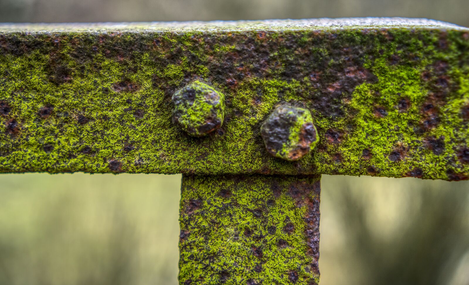 Sony a6000 + Sony E 35mm F1.8 OSS sample photo. Railing, bridge, rusty photography