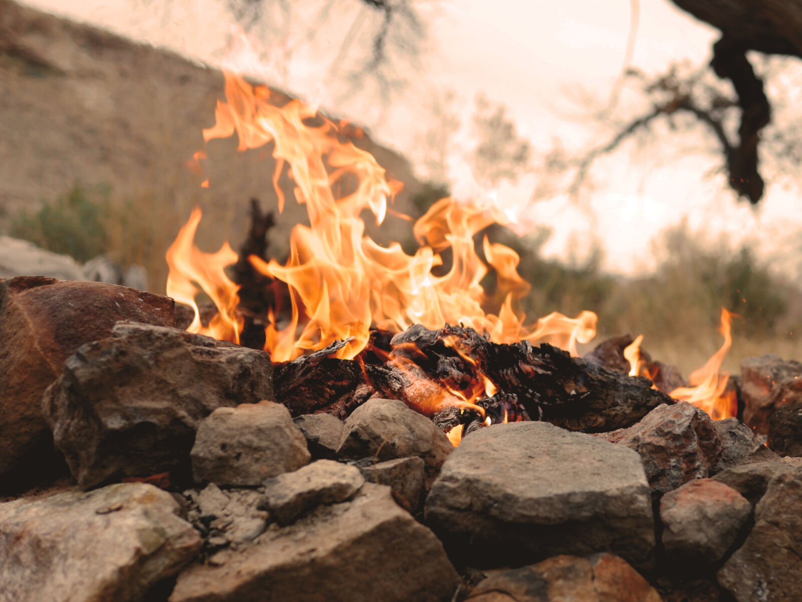 Panasonic Lumix DMC-G7 sample photo. Campfire, camping, fire, firepit photography