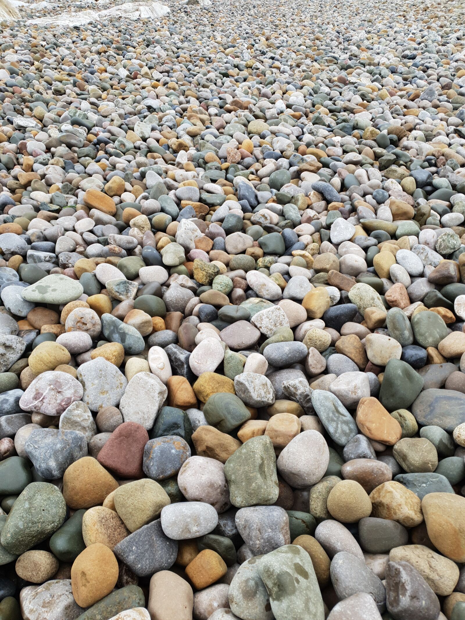 Samsung Galaxy S9 sample photo. Beach, walk, impressions photography
