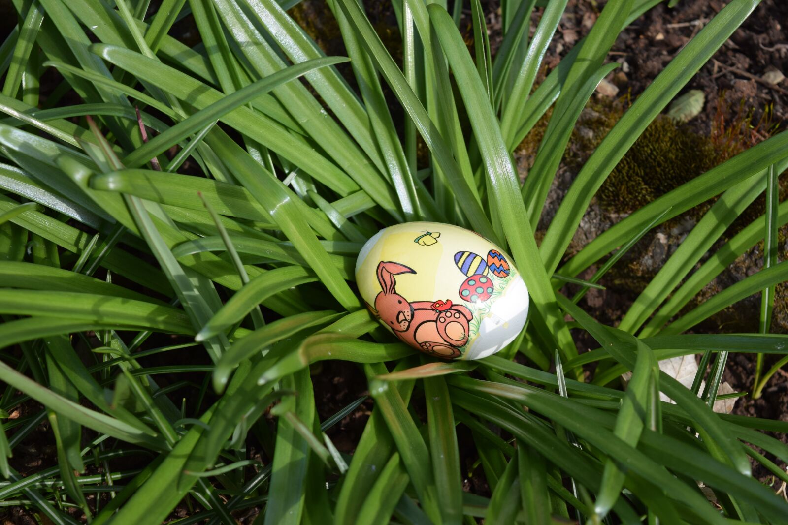 Nikon D5300 sample photo. Easter, egg, easter egg photography