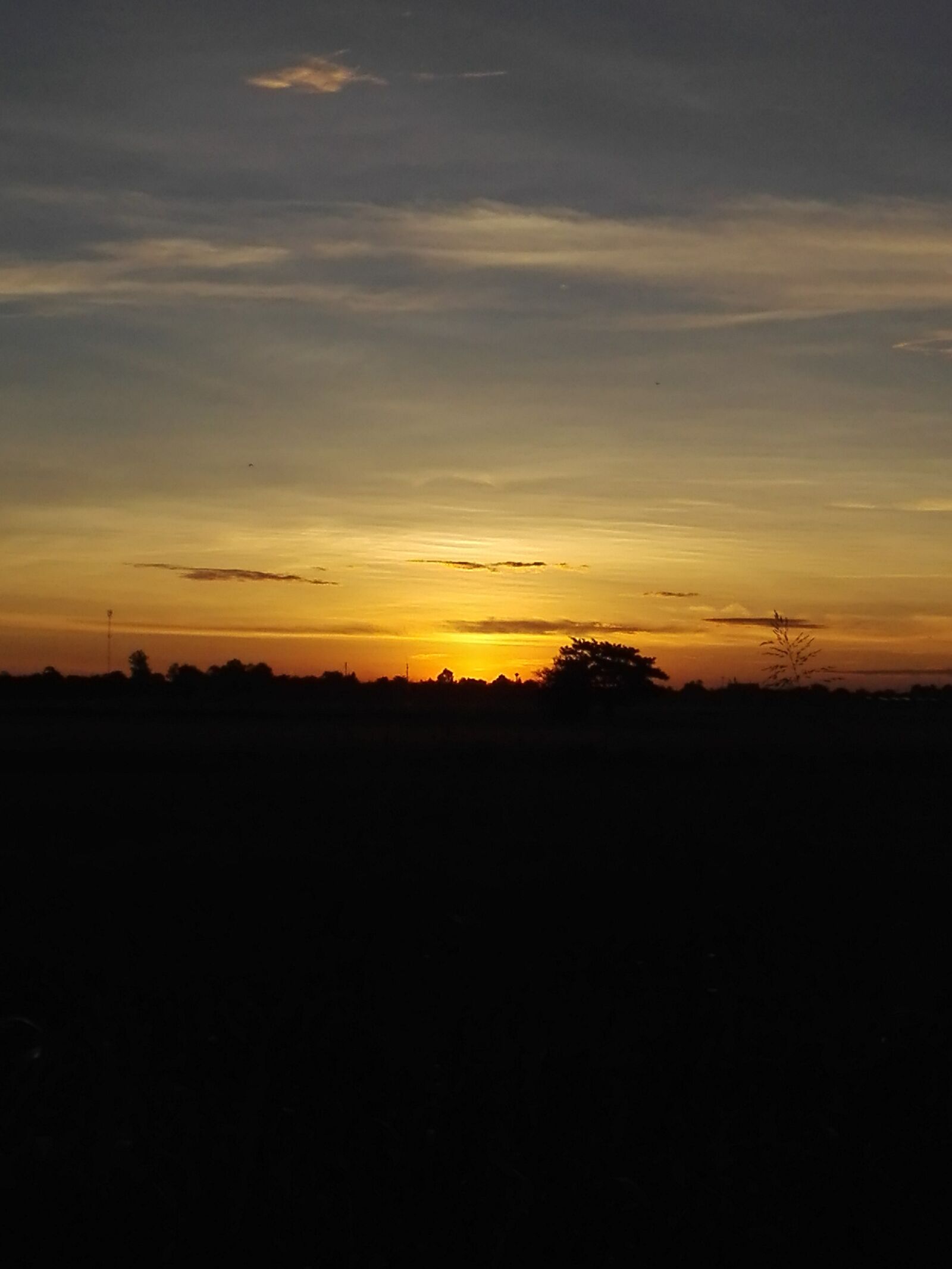 HUAWEI Y6II sample photo. Sunrise, cornfield, mead photography