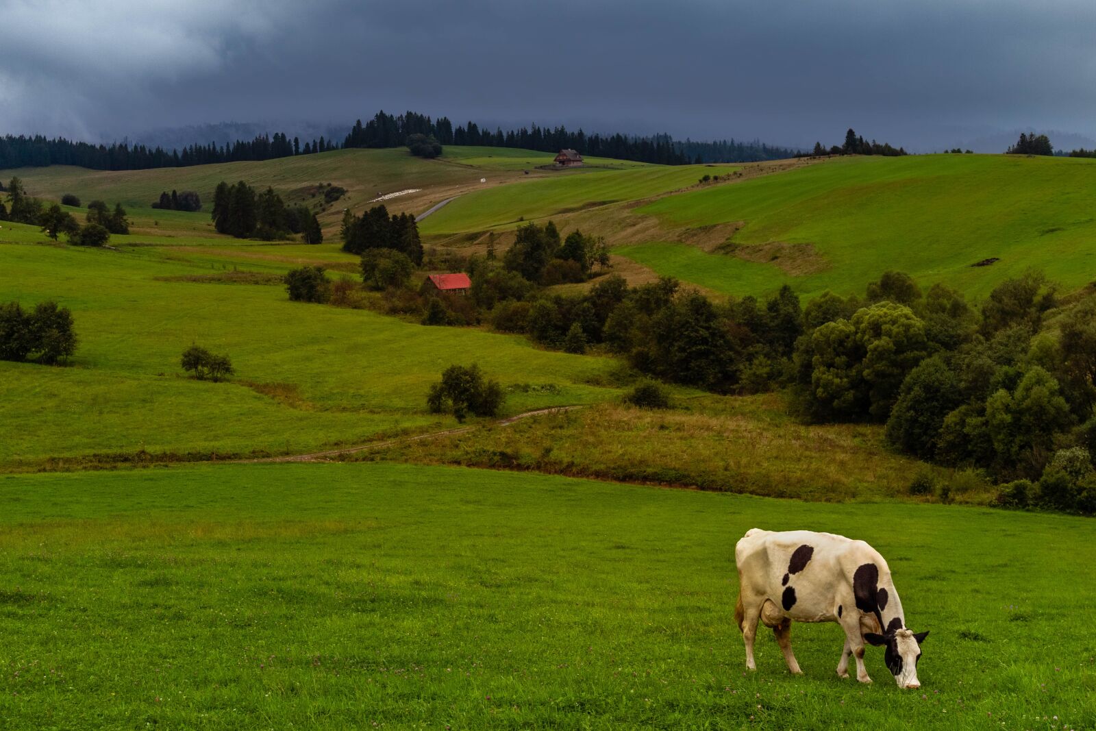 Canon EOS 700D (EOS Rebel T5i / EOS Kiss X7i) sample photo. Storm, landscape, clouds photography
