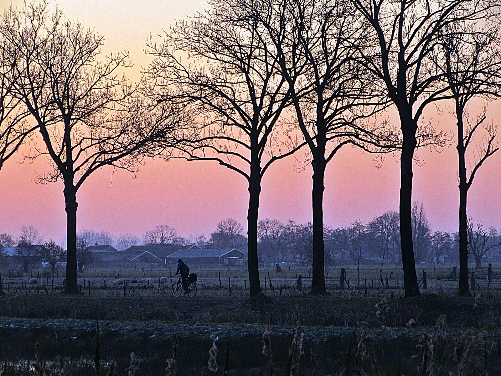 Canon PowerShot SX610 HS sample photo. Cyclist, silhouette, freezing photography