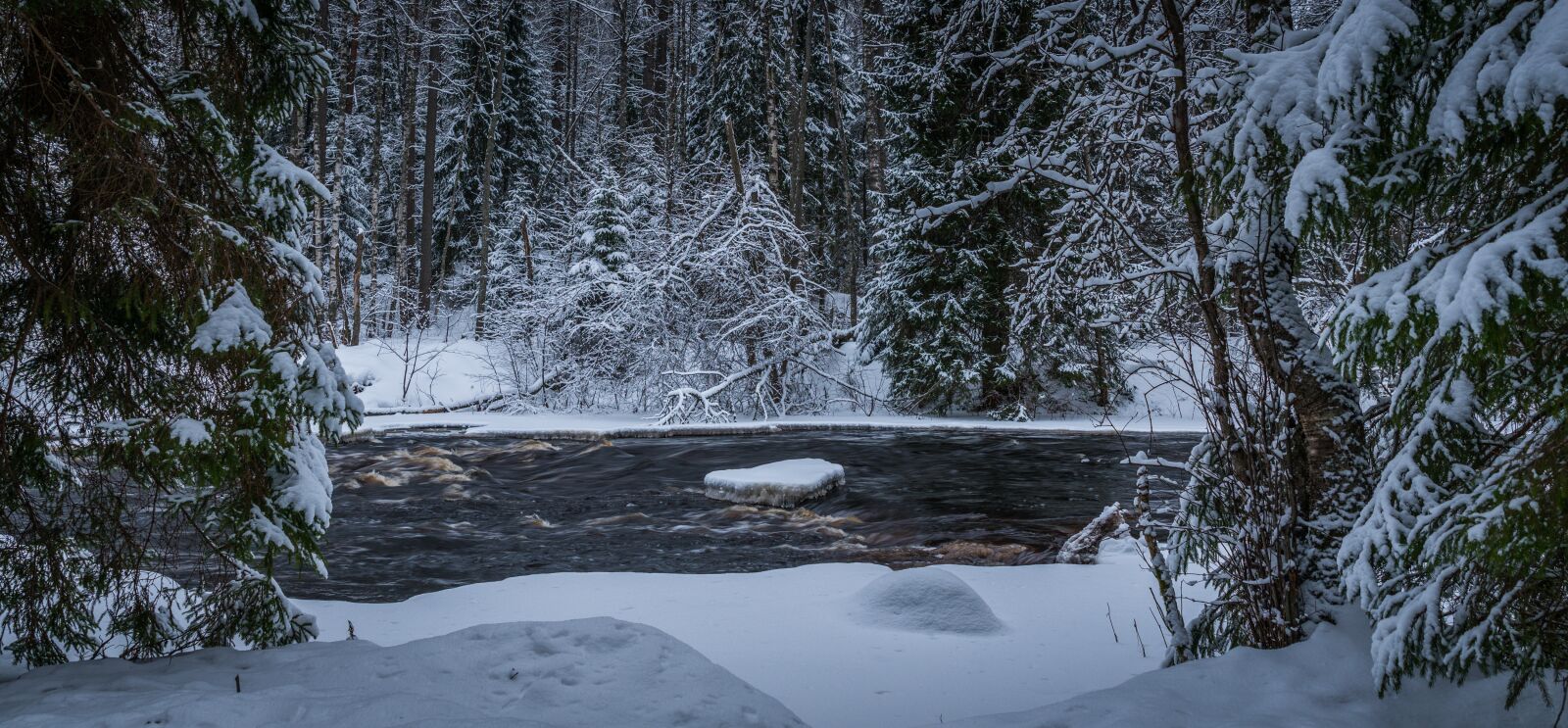 Sony a7R II sample photo. Snow, winter, forest photography