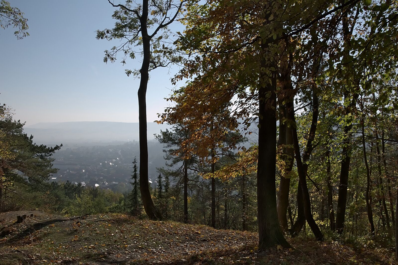 Nikon D3300 sample photo. Forest, fog, view photography