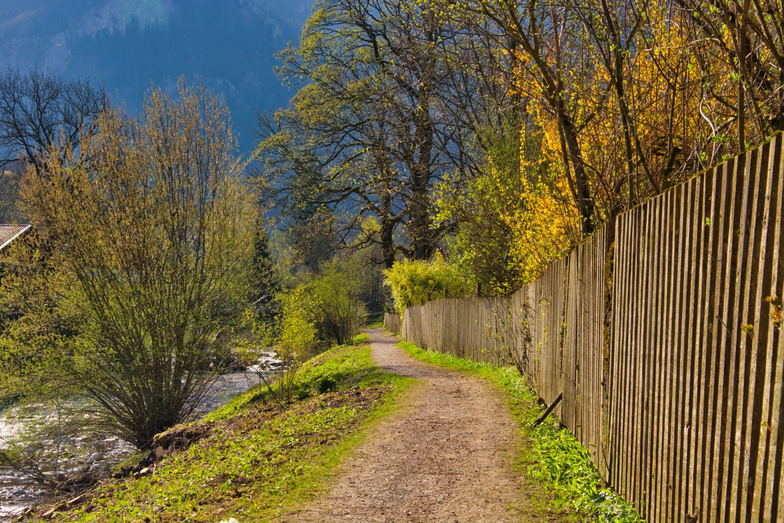 Nikon D7100 sample photo. Spring, away, path photography