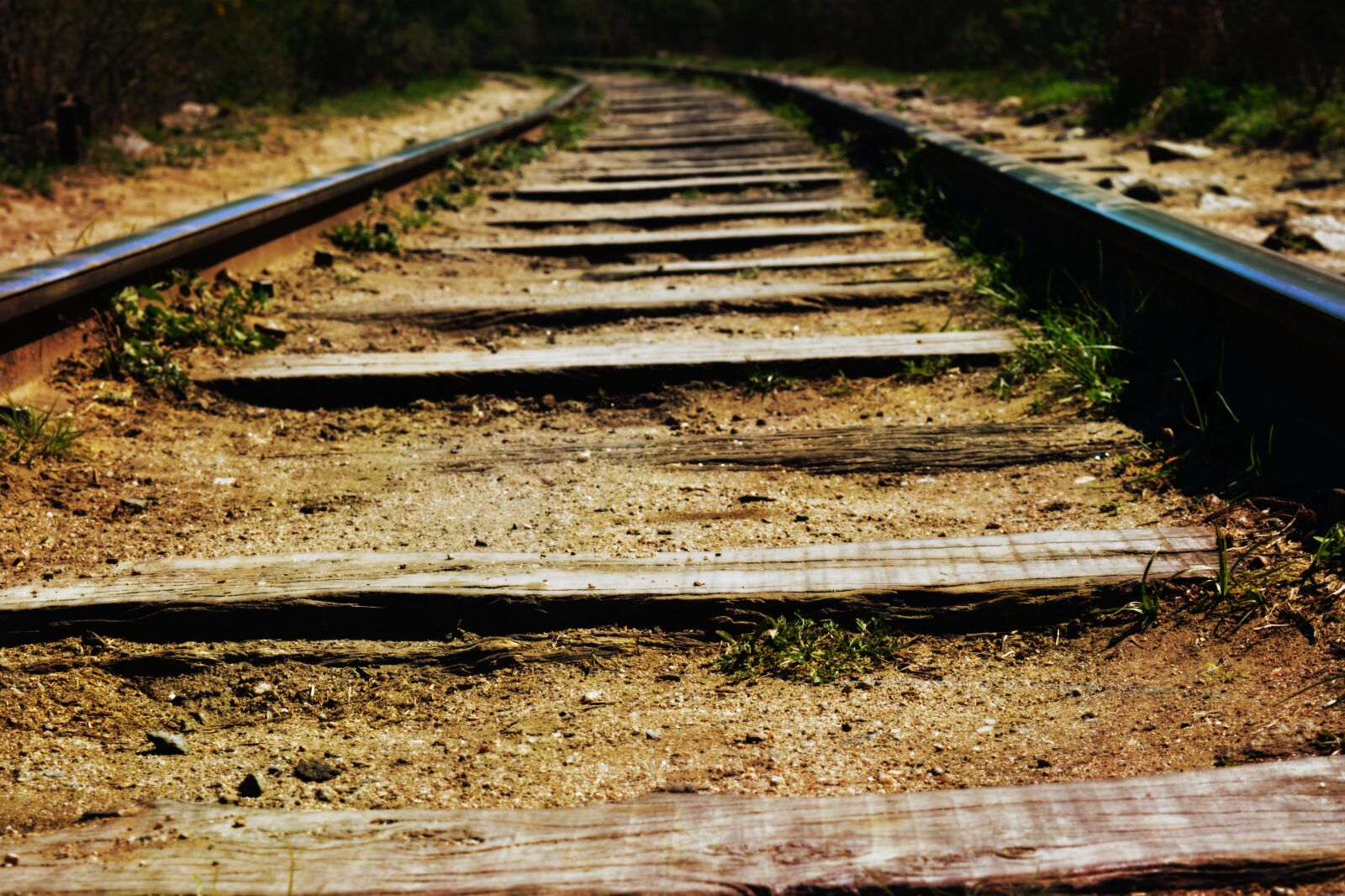 Nikon D5200 sample photo. Path, train, railway photography