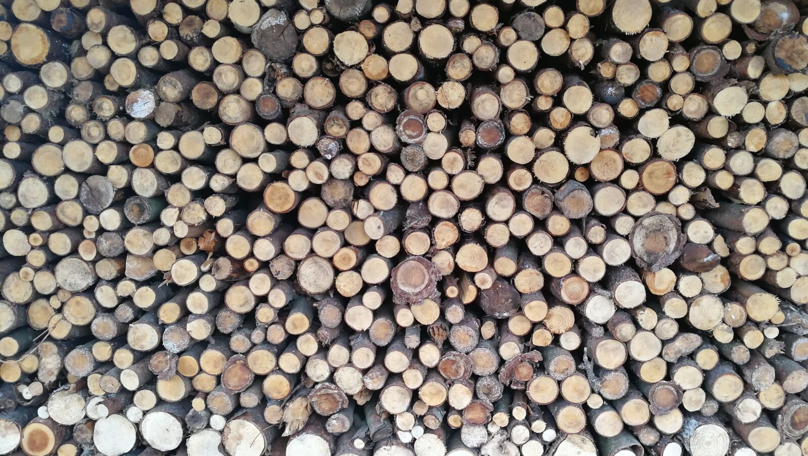 HUAWEI Mate 9 sample photo. Wood, holzstapel, background photography