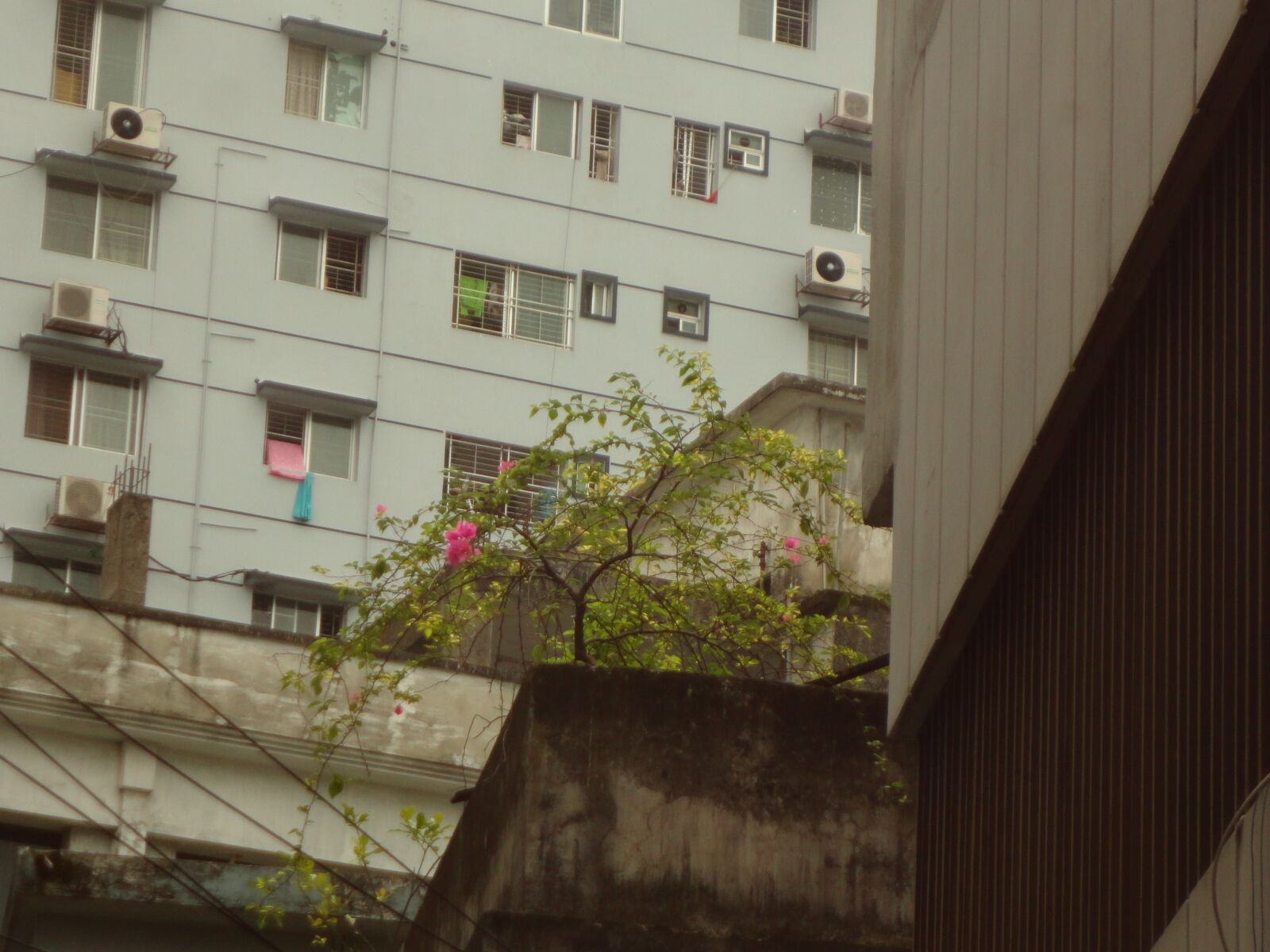 Sony Cyber-shot DSC-W570 sample photo