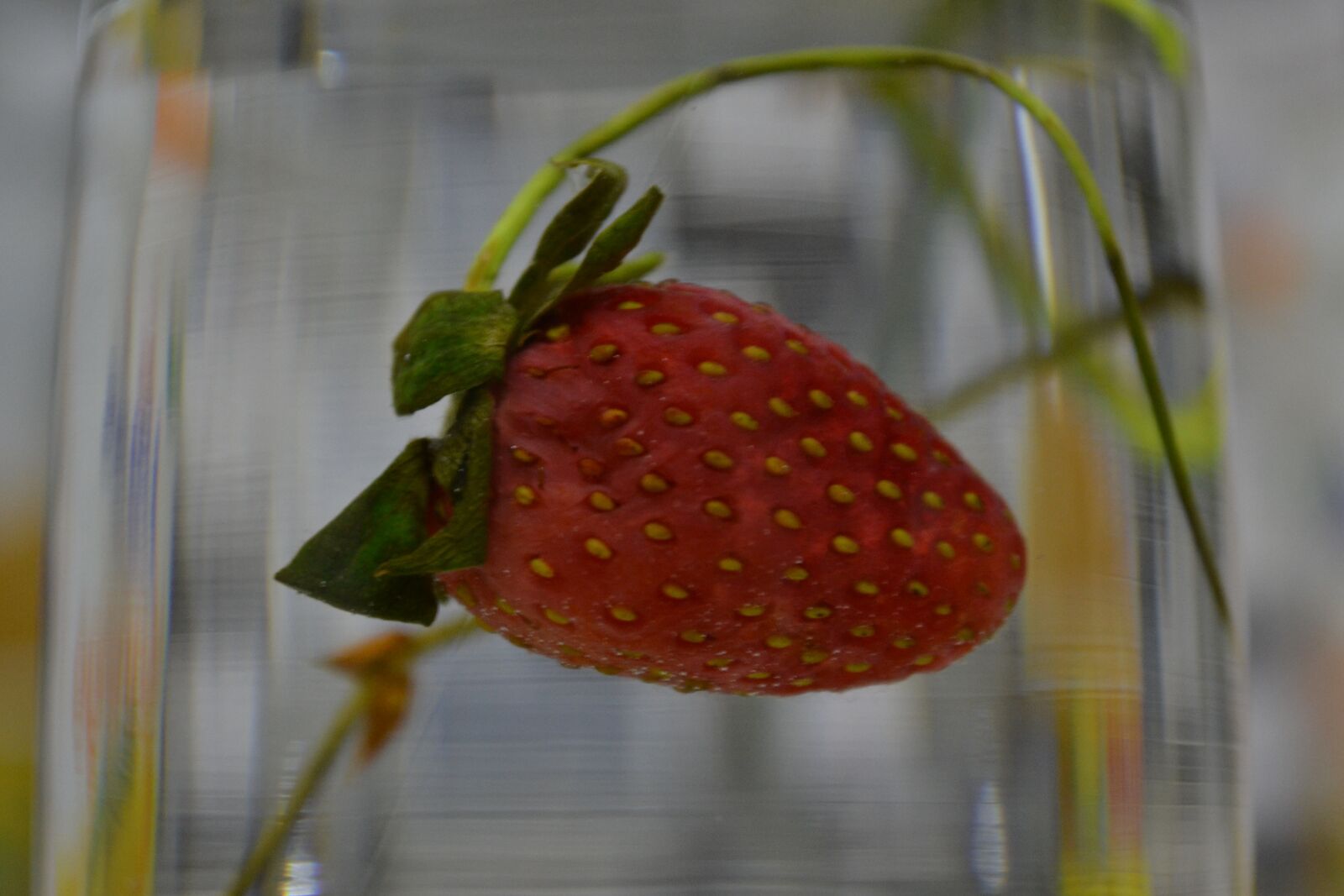 Nikon D3100 sample photo. Strawberry, fruit, red photography
