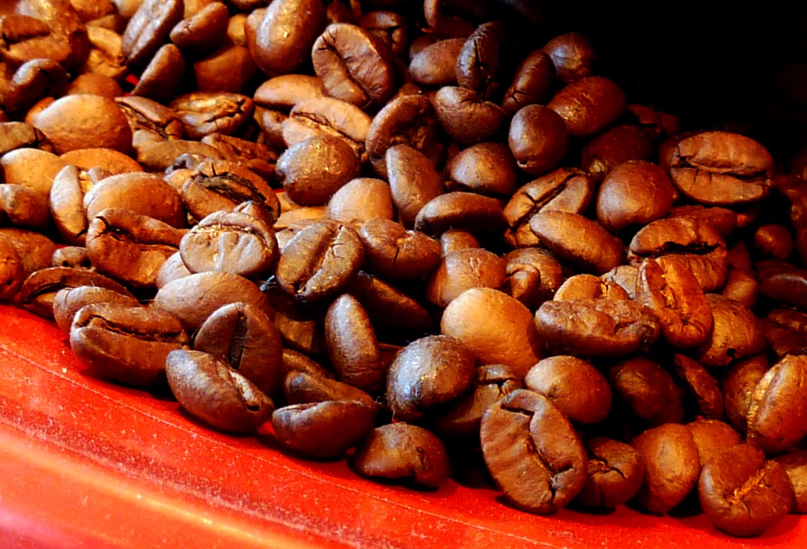 Panasonic DMC-TZ7 sample photo. Coffee, coffee beans, aroma photography
