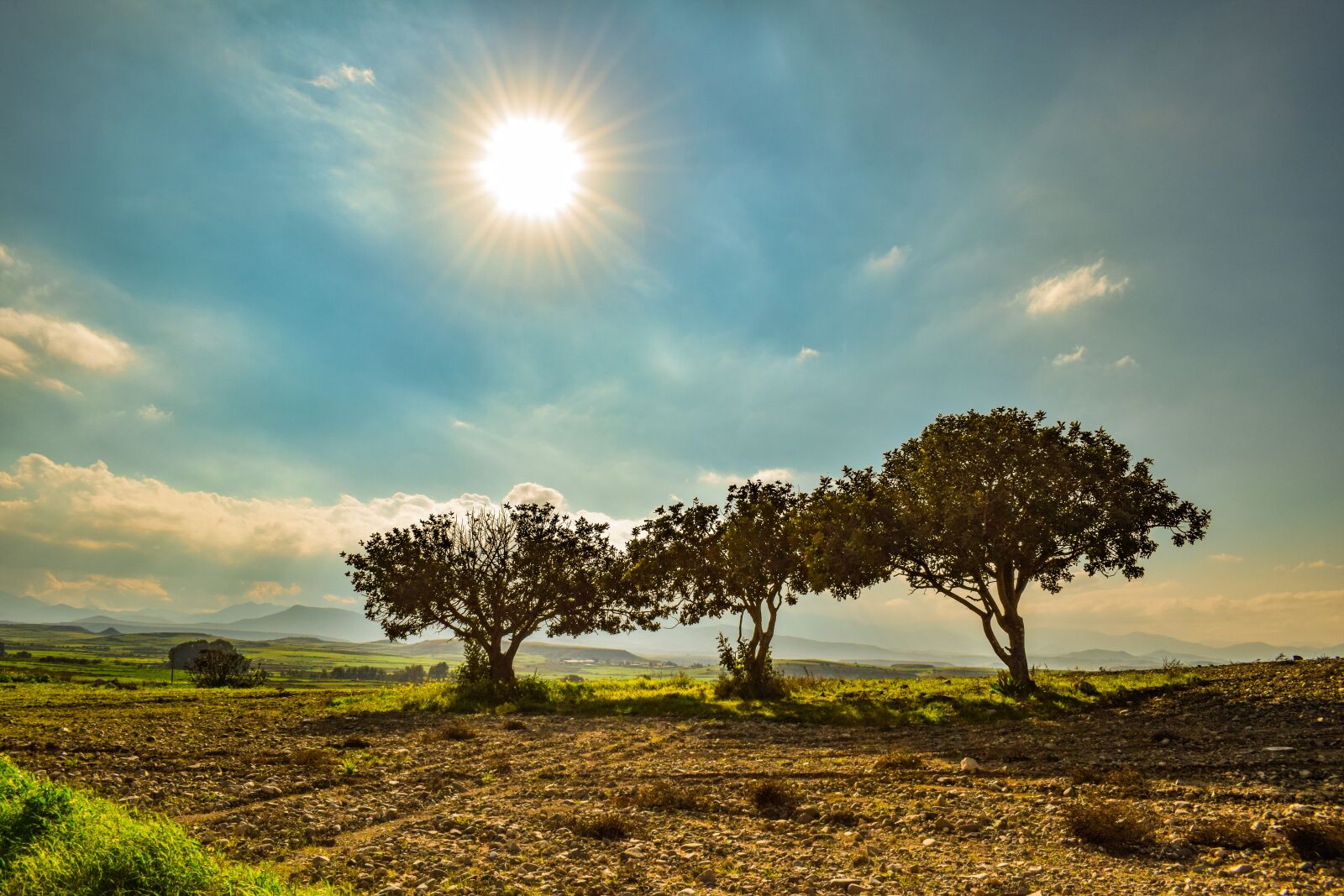 Nikon D3300 sample photo. Trees, landscape, nature photography