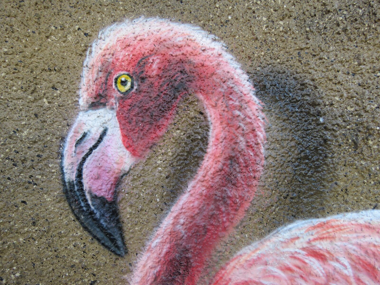Canon PowerShot SX60 HS sample photo. Flamingo, wall art, wall photography