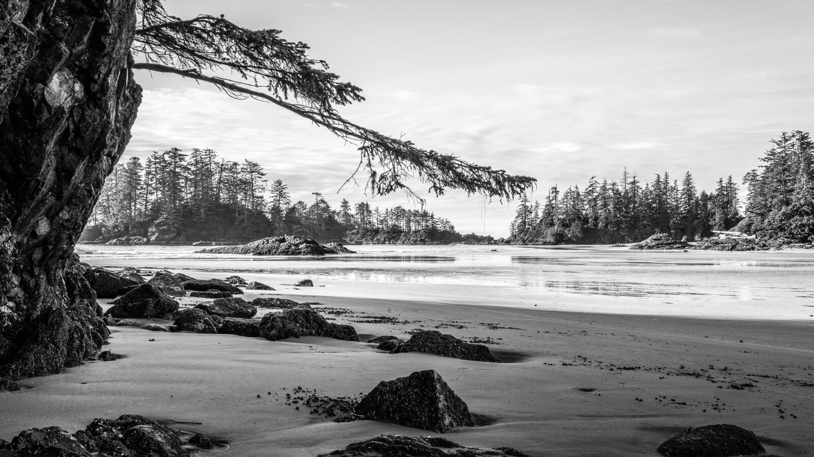 Sony FE 24-105mm F4 G OSS sample photo. Beach, tofino, vancouver island photography