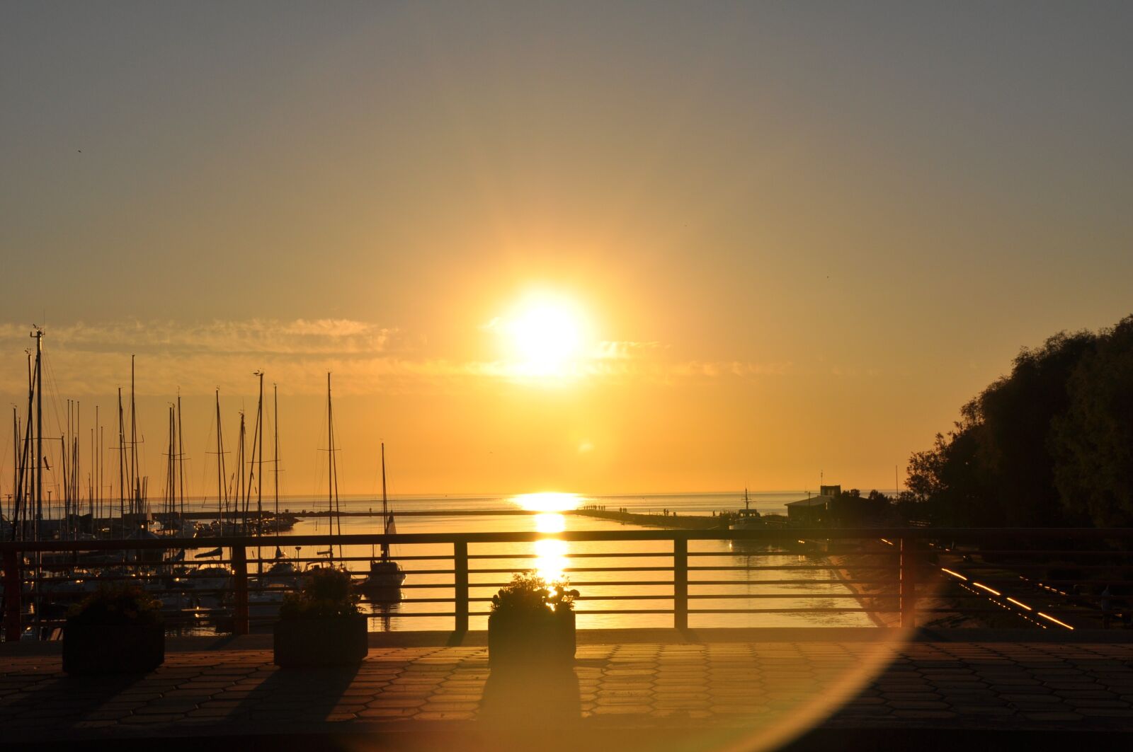 Nikon D5000 sample photo. Summer, sun, atmosphere photography