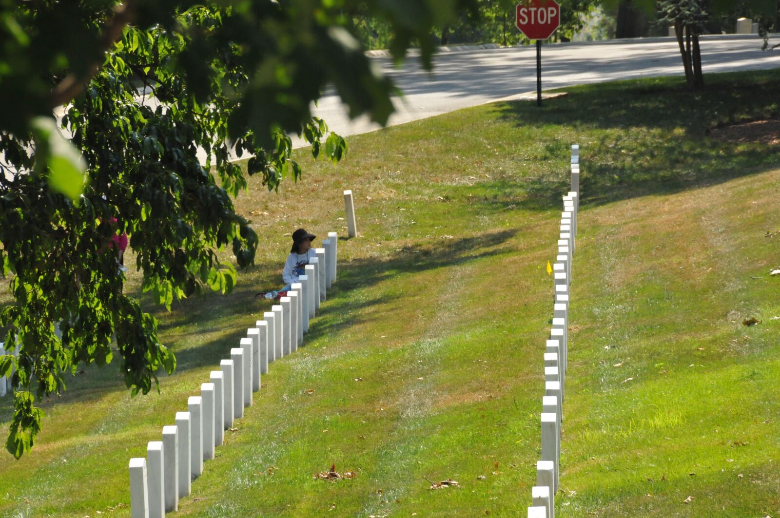 Nikon D300S sample photo. Arlington, washington dc, soldier photography