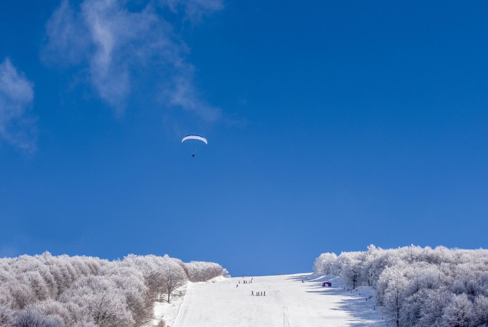 Nikon D750 sample photo. Snow, winter, cold photography