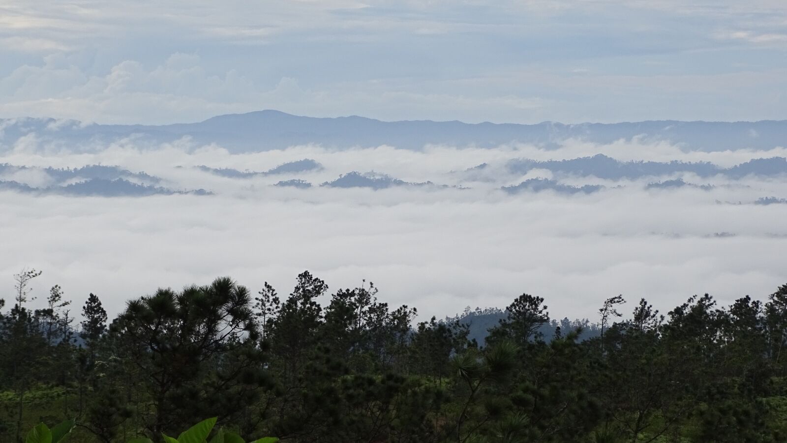 Sony Cyber-shot DSC-HX400V sample photo. Mountain, pine, ridge photography