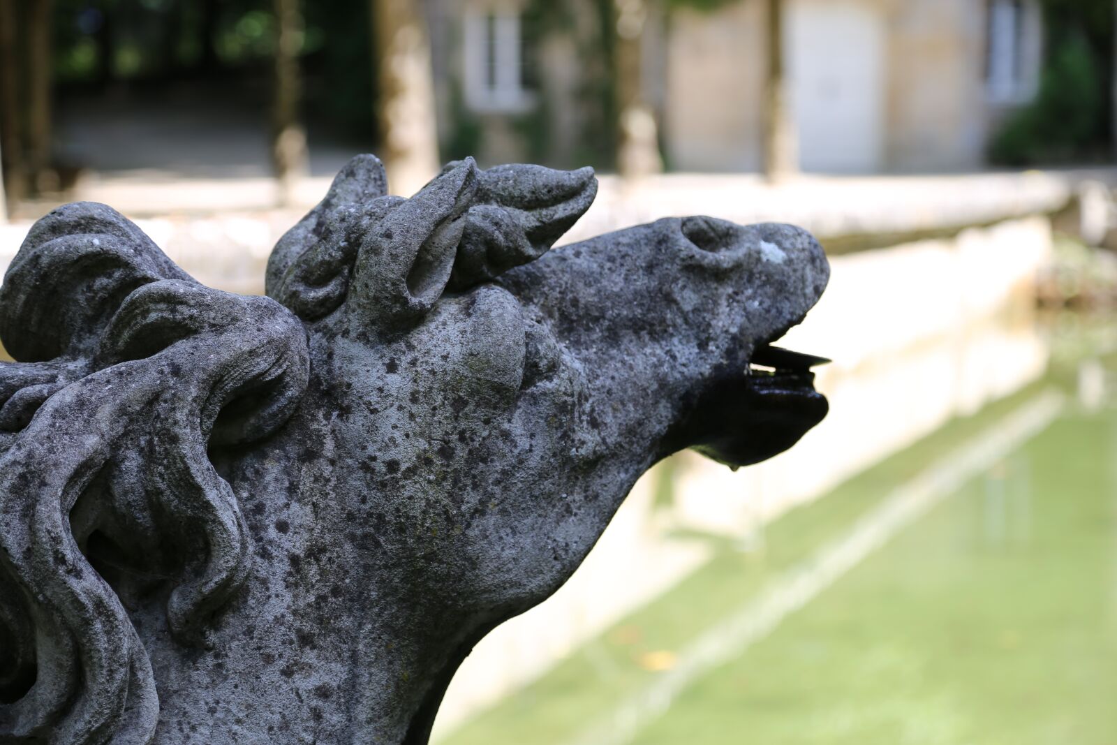 Canon EOS 6D + Canon EF 24-105mm F4L IS USM sample photo. Horse head, fountain, pond photography