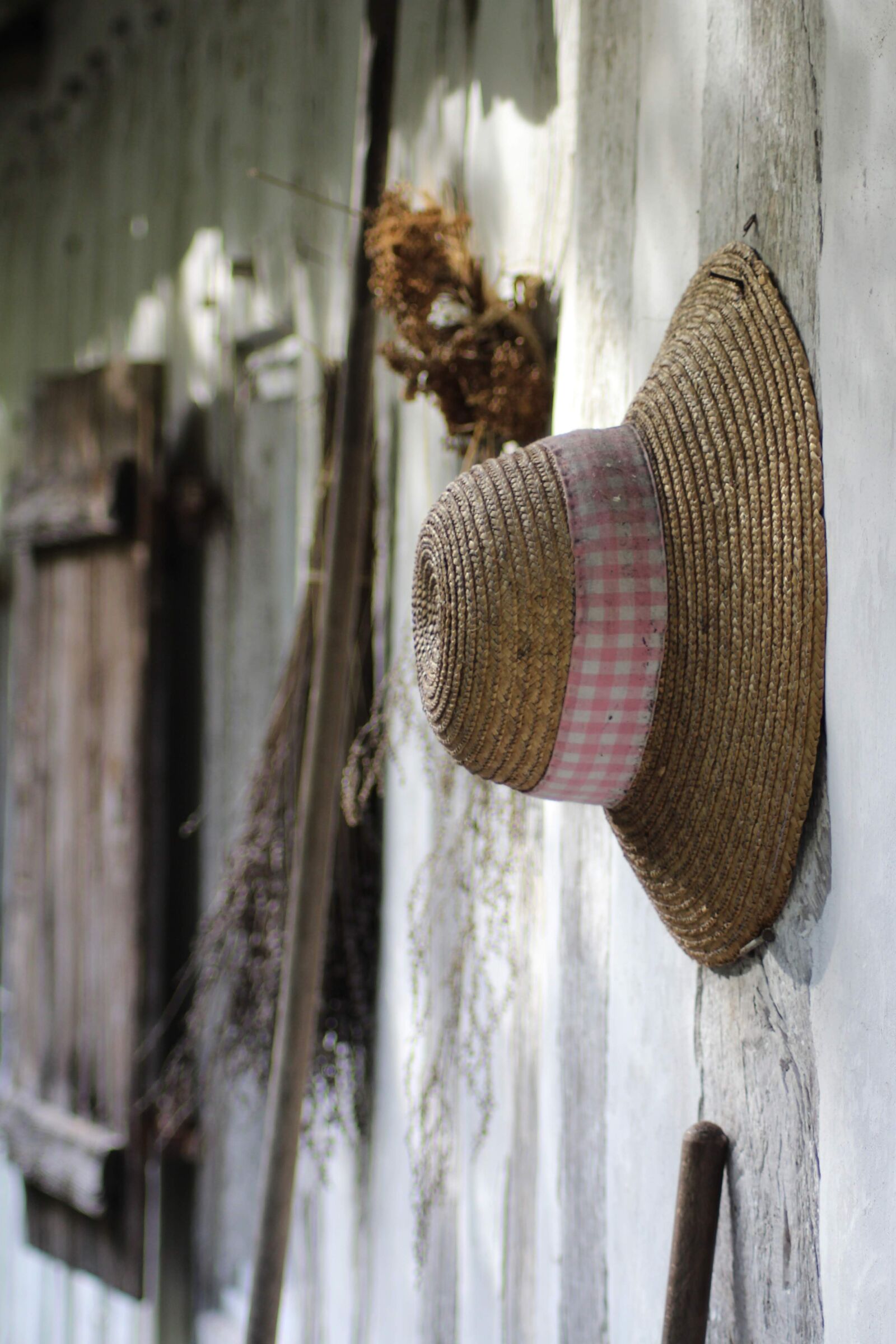 Canon EOS 1200D (EOS Rebel T5 / EOS Kiss X70 / EOS Hi) sample photo. Hat, house, summer photography