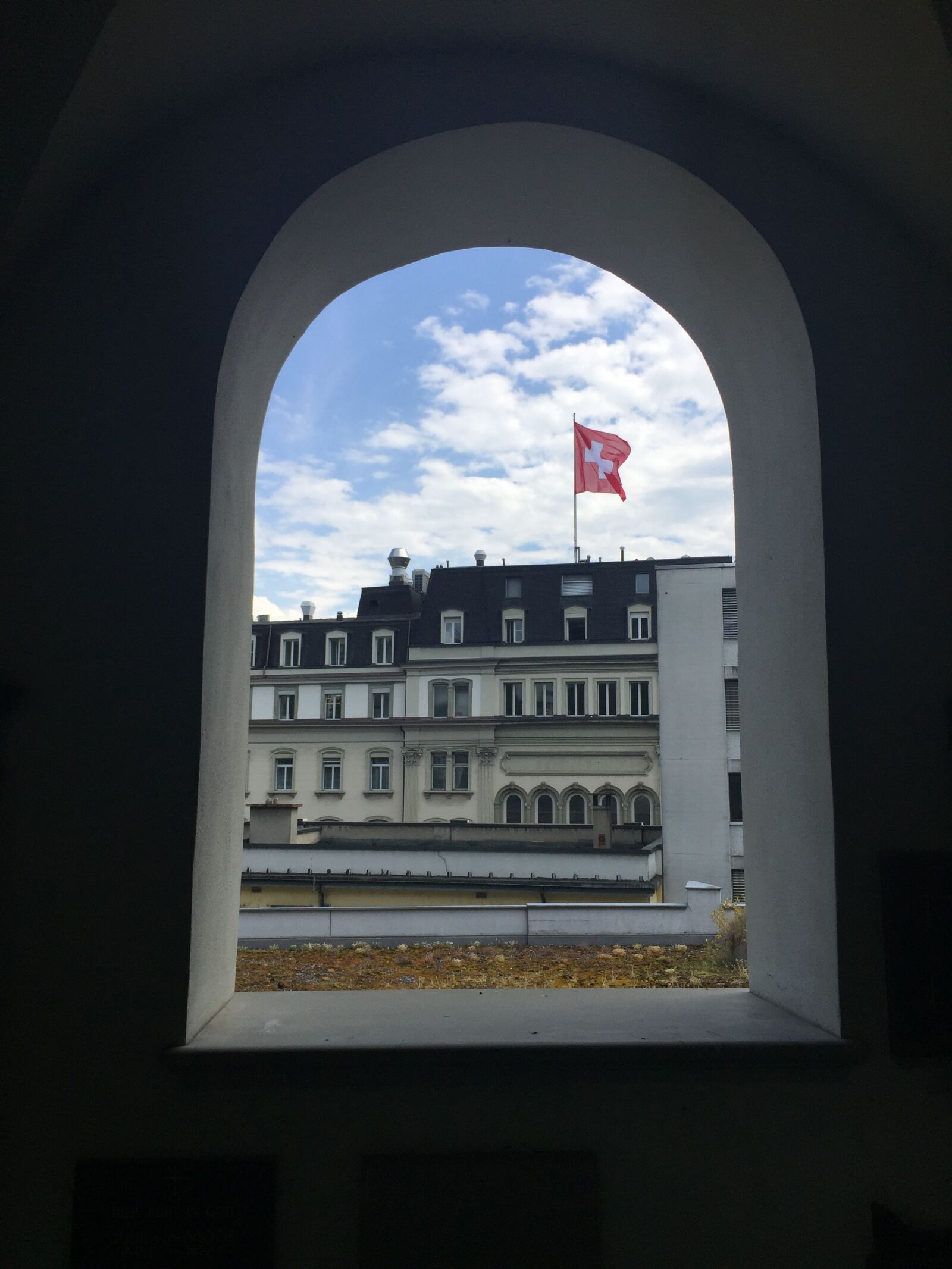 iPhone 6 Plus back camera 4.15mm f/2.2 sample photo. Flag, swiss, switzerland photography