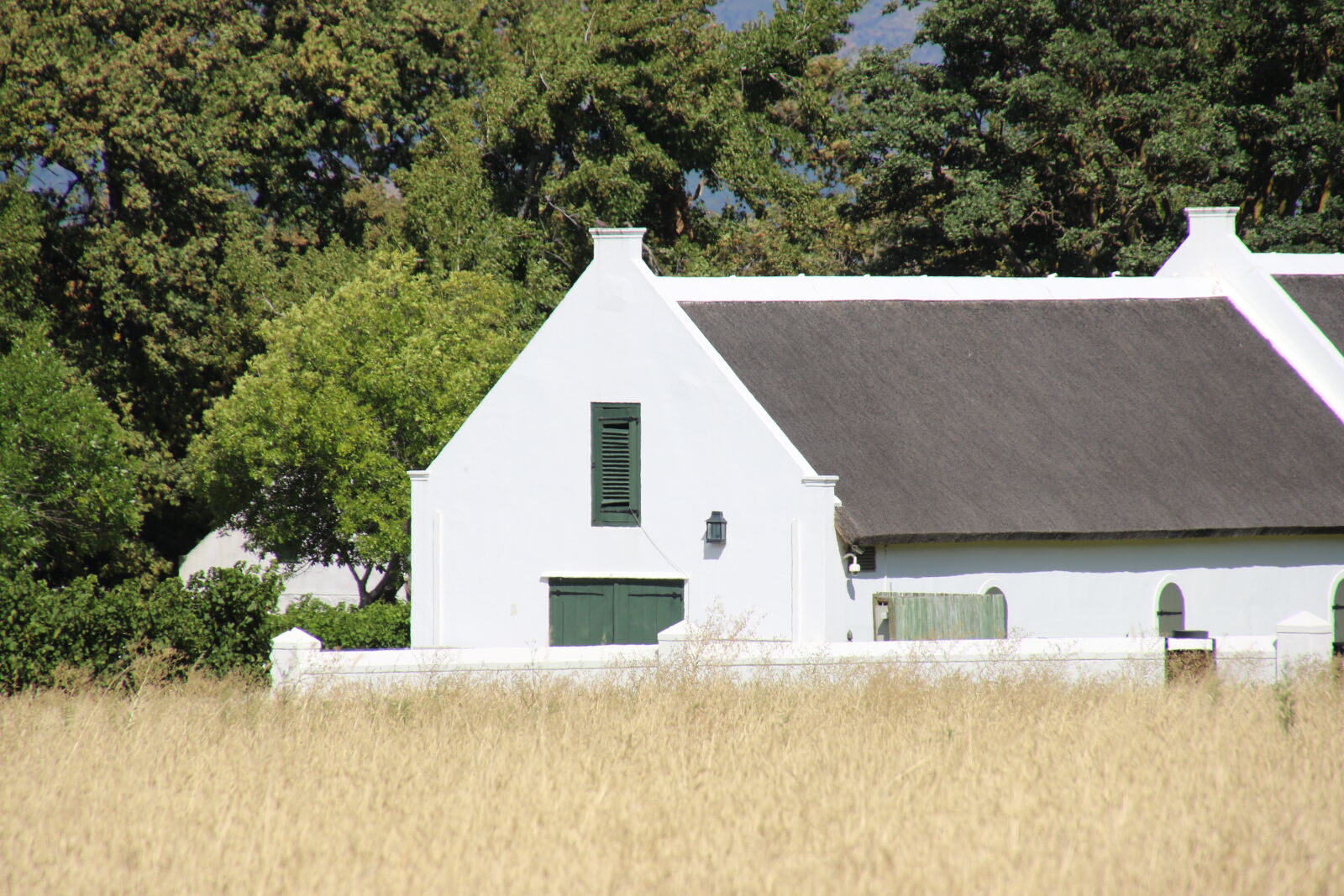 Canon EOS 7D Mark II sample photo. Cape, home, grass, home photography