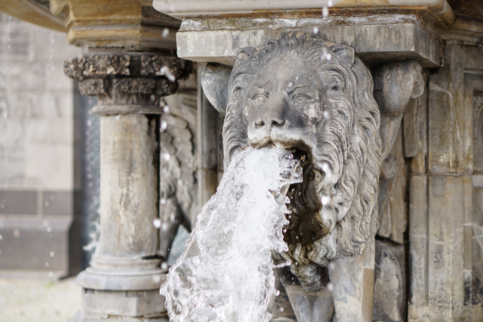 E 50mm F1.8 OSS sample photo. Lion, water, gargoyle photography