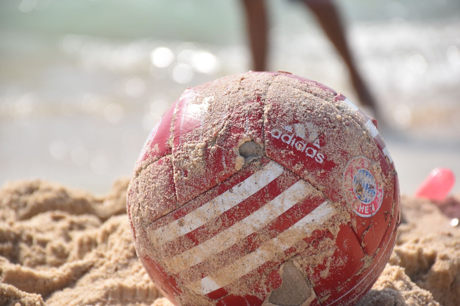 Nikon D5600 sample photo. Beach, summer, sea photography