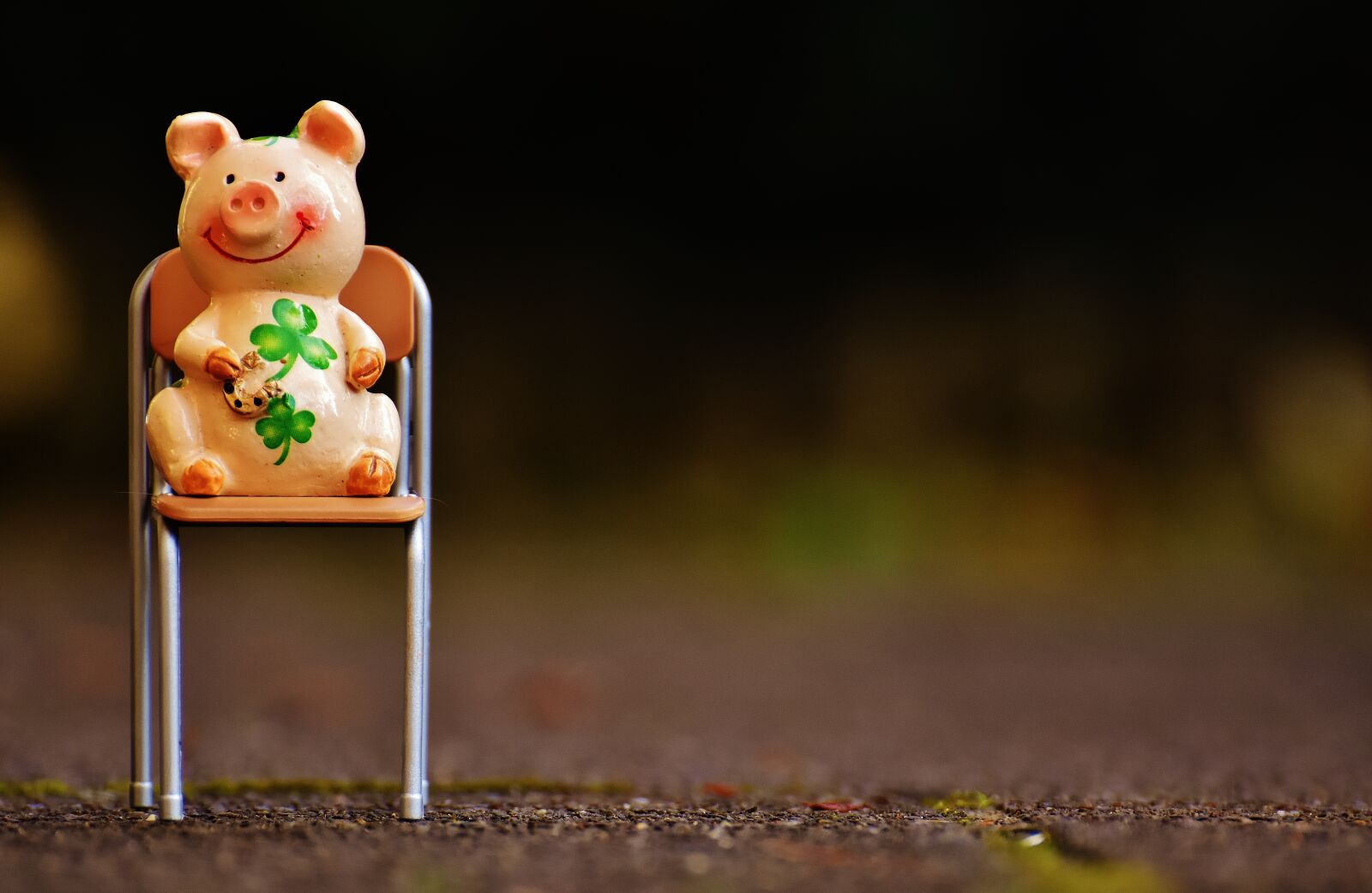 Nikon D7200 sample photo. Lucky pig, figure, luck photography